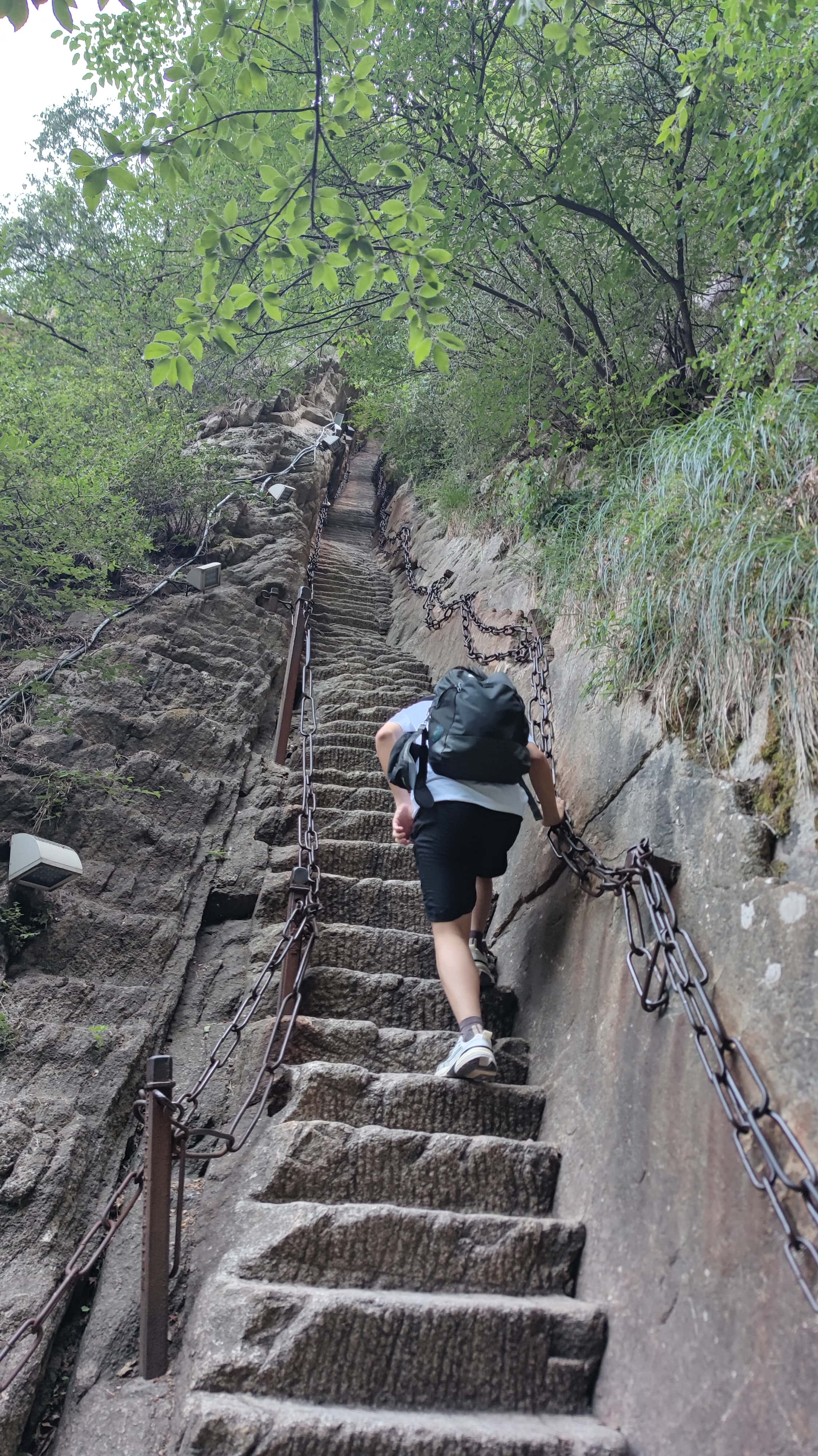 MVIMG_20250611_075555