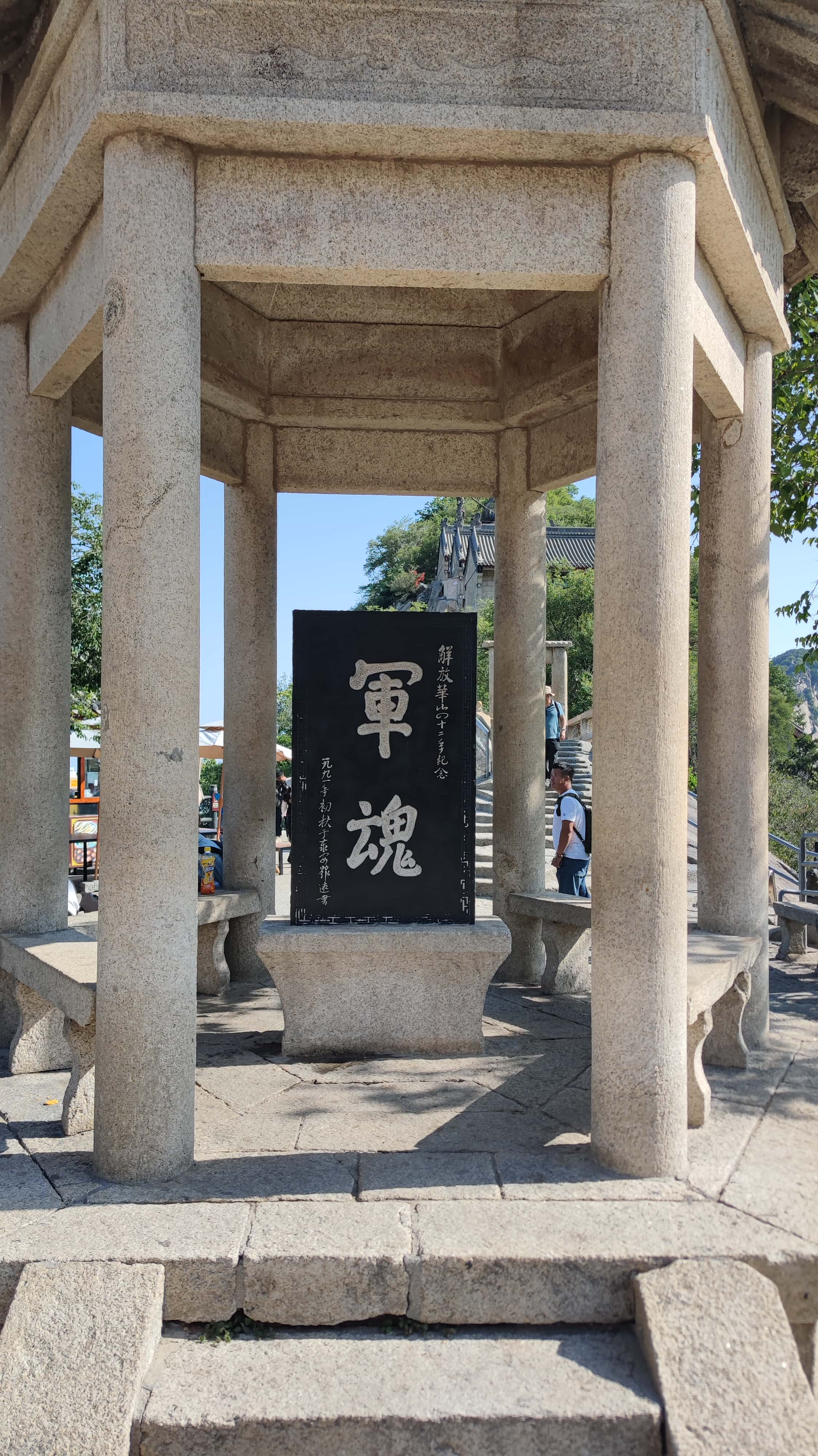 MVIMG_20250611_084624