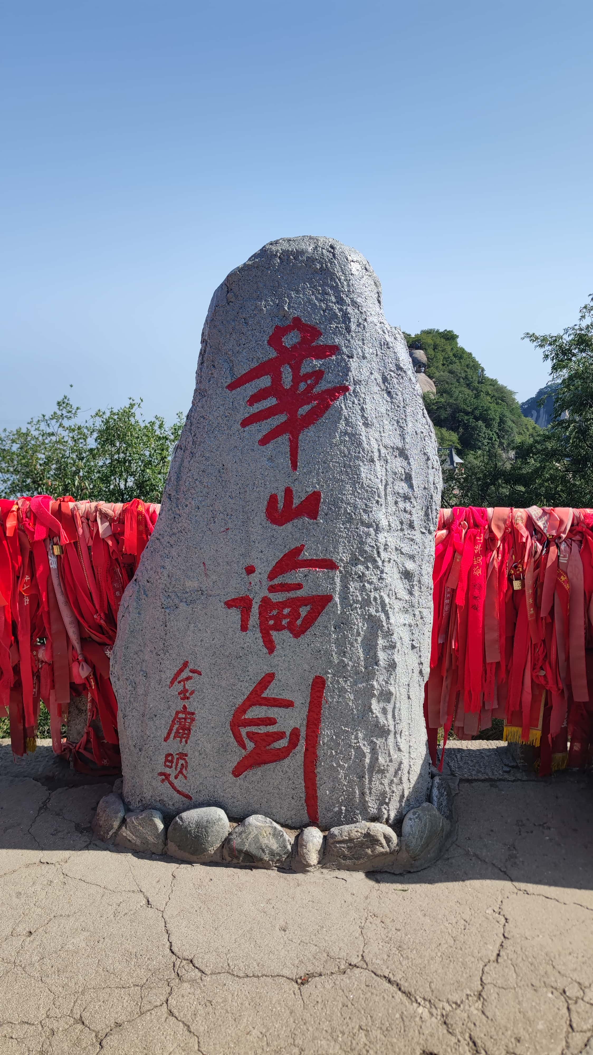 MVIMG_20250611_085051