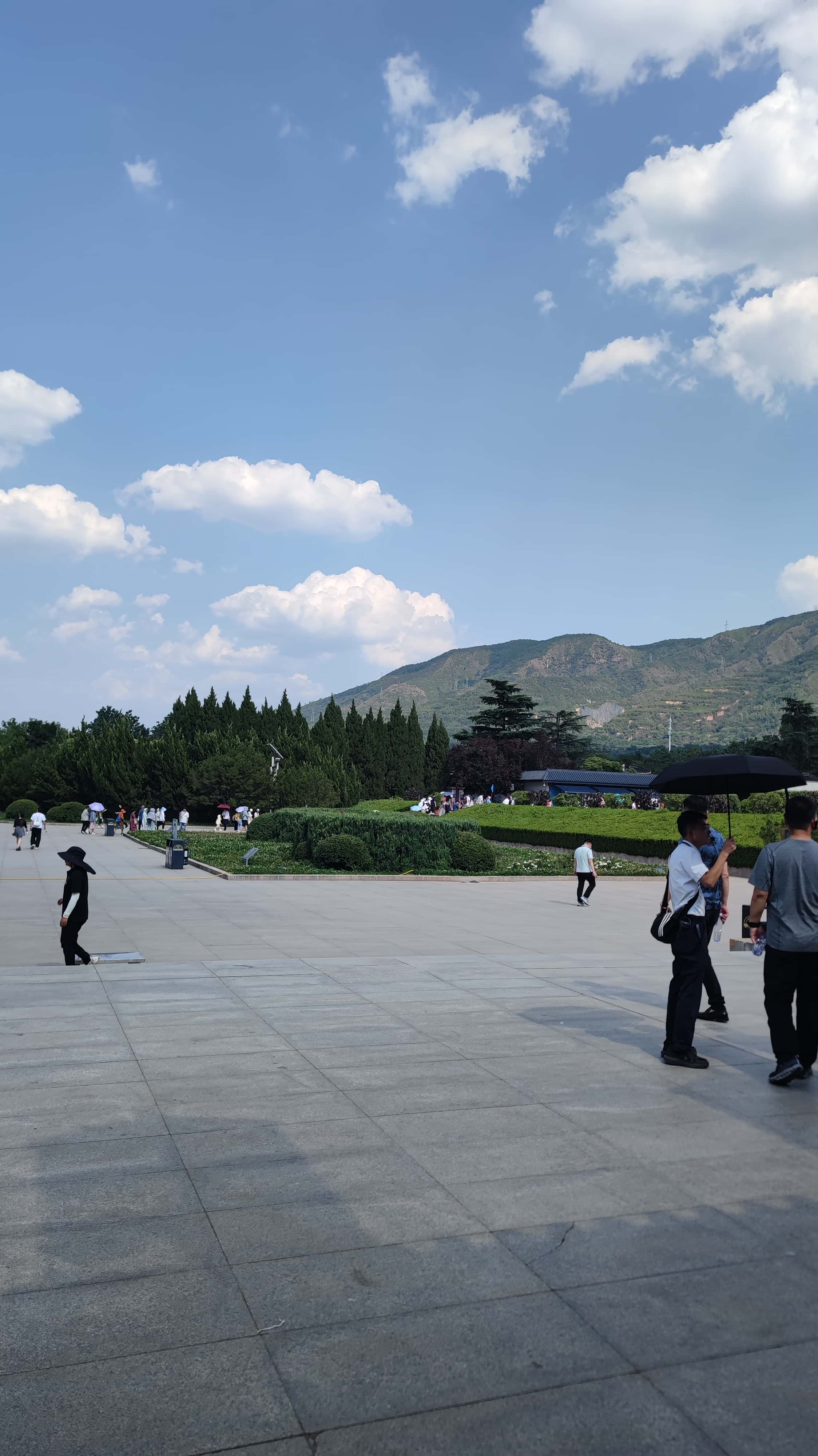 MVIMG_20250612_154519