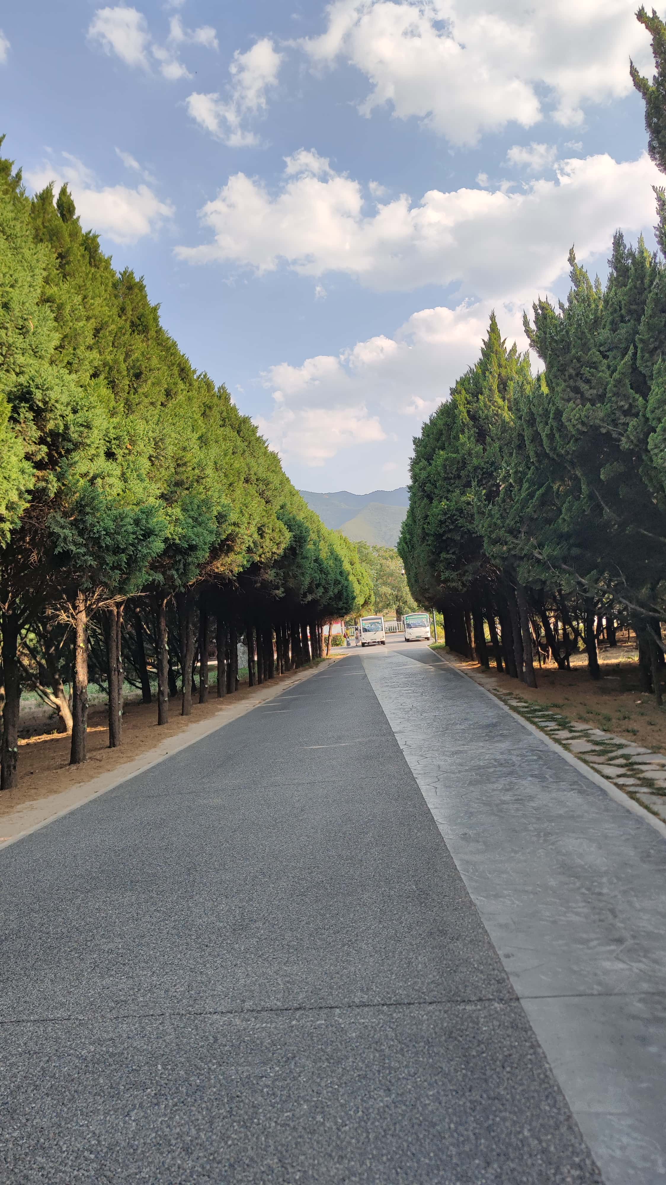 MVIMG_20250612_173833