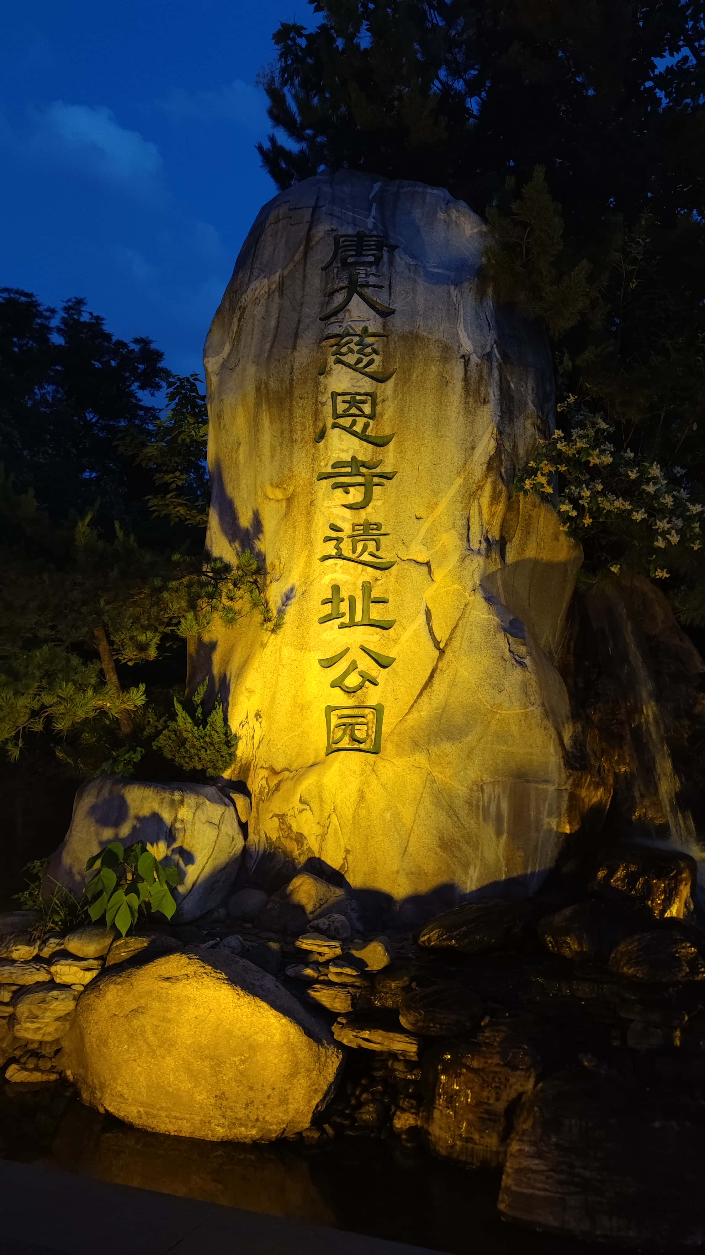 MVIMG_20250612_201950