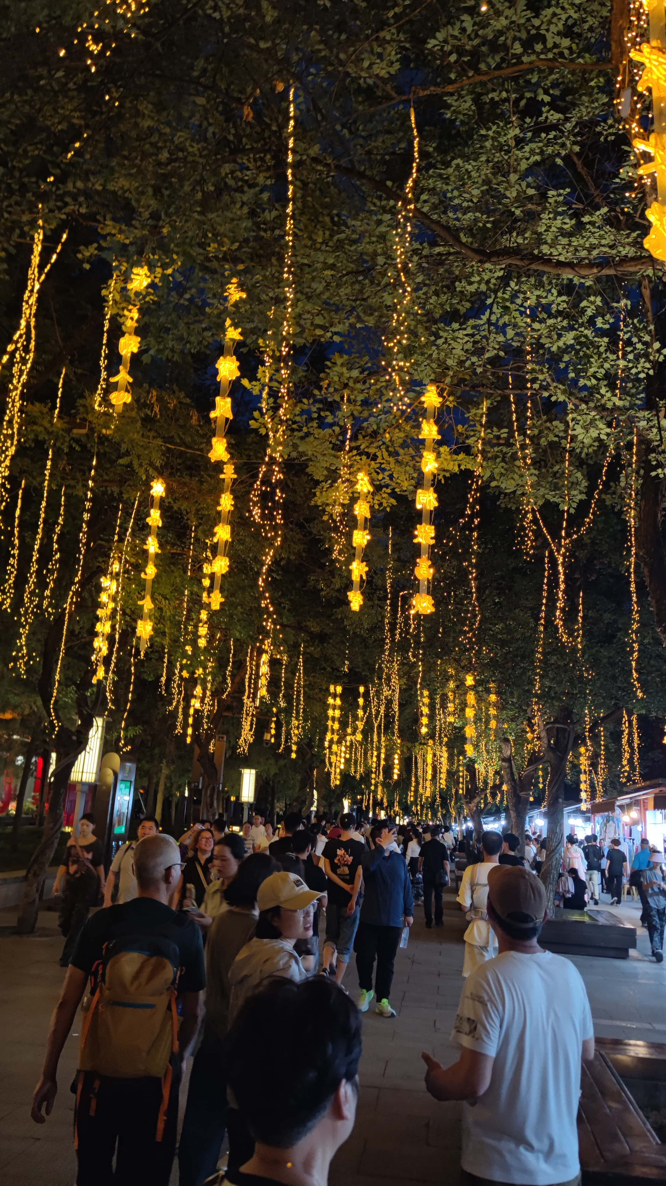 MVIMG_20250612_202408