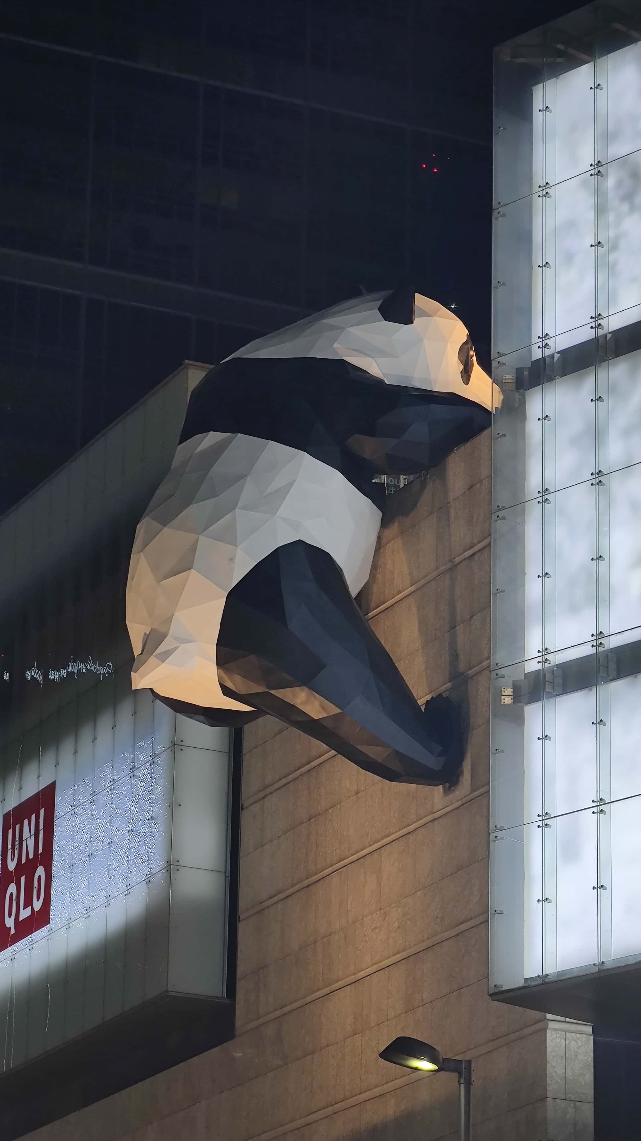 MVIMG_20250613_215826