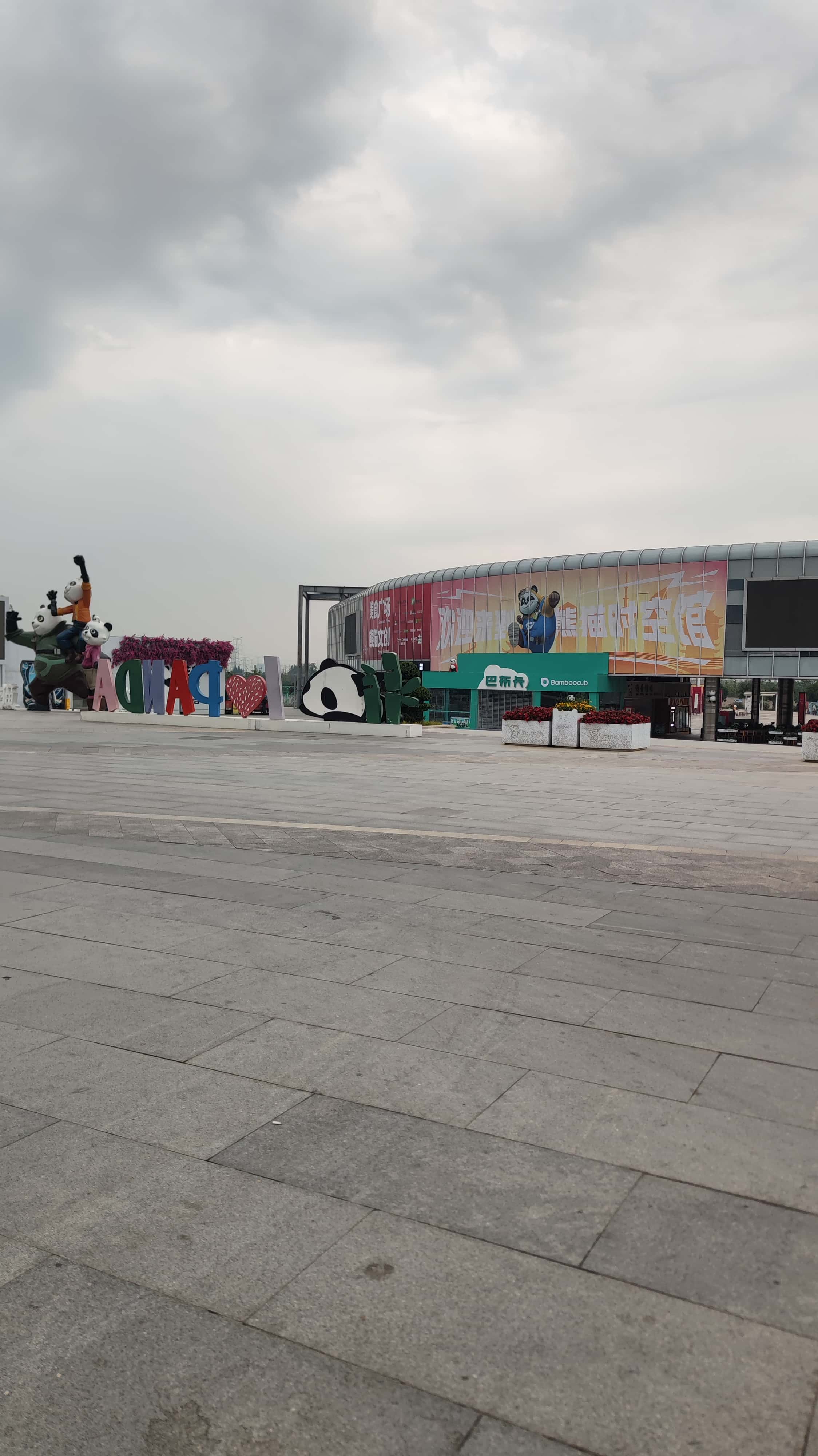 MVIMG_20250614_072019