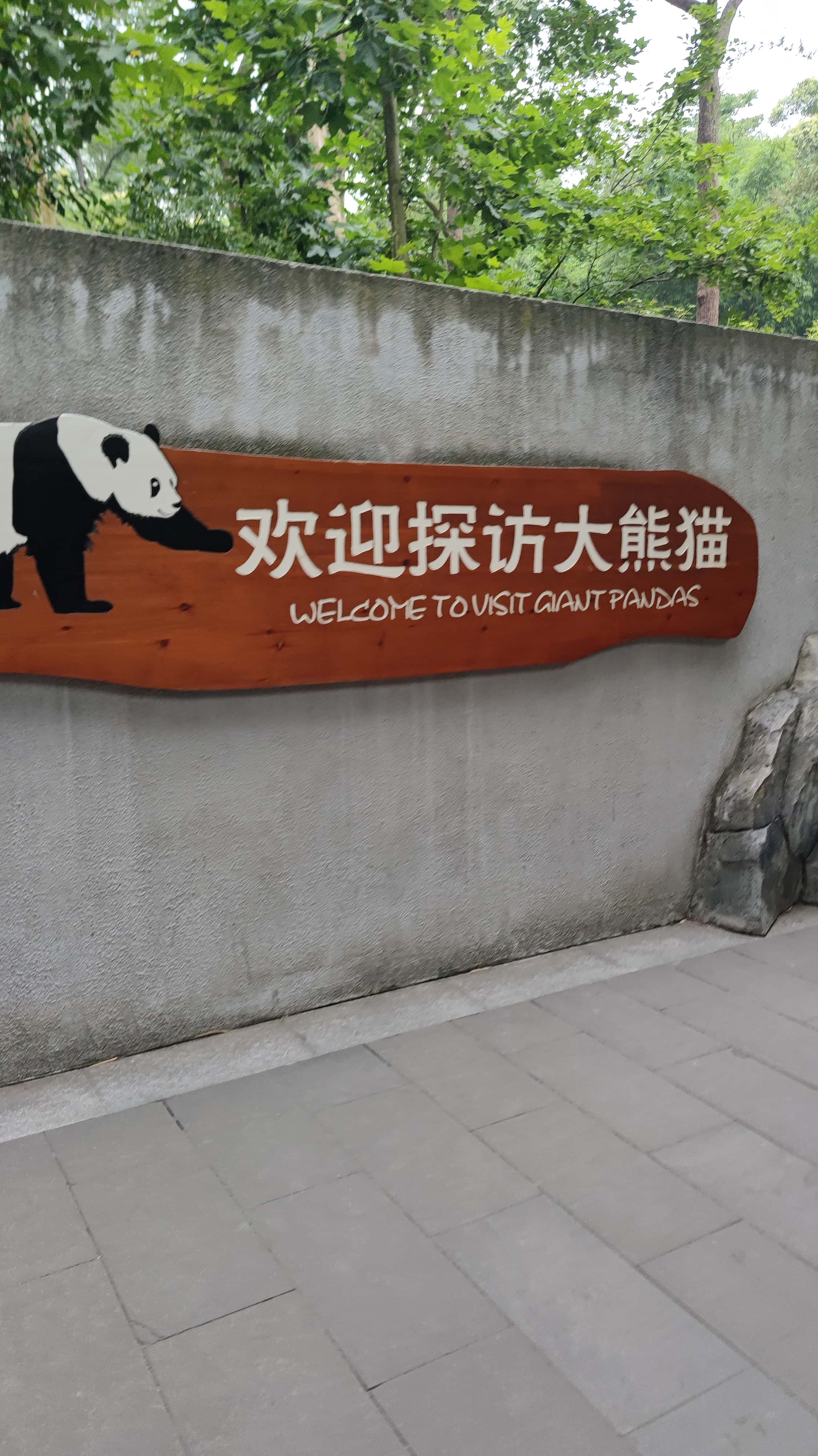 MVIMG_20250614_074422