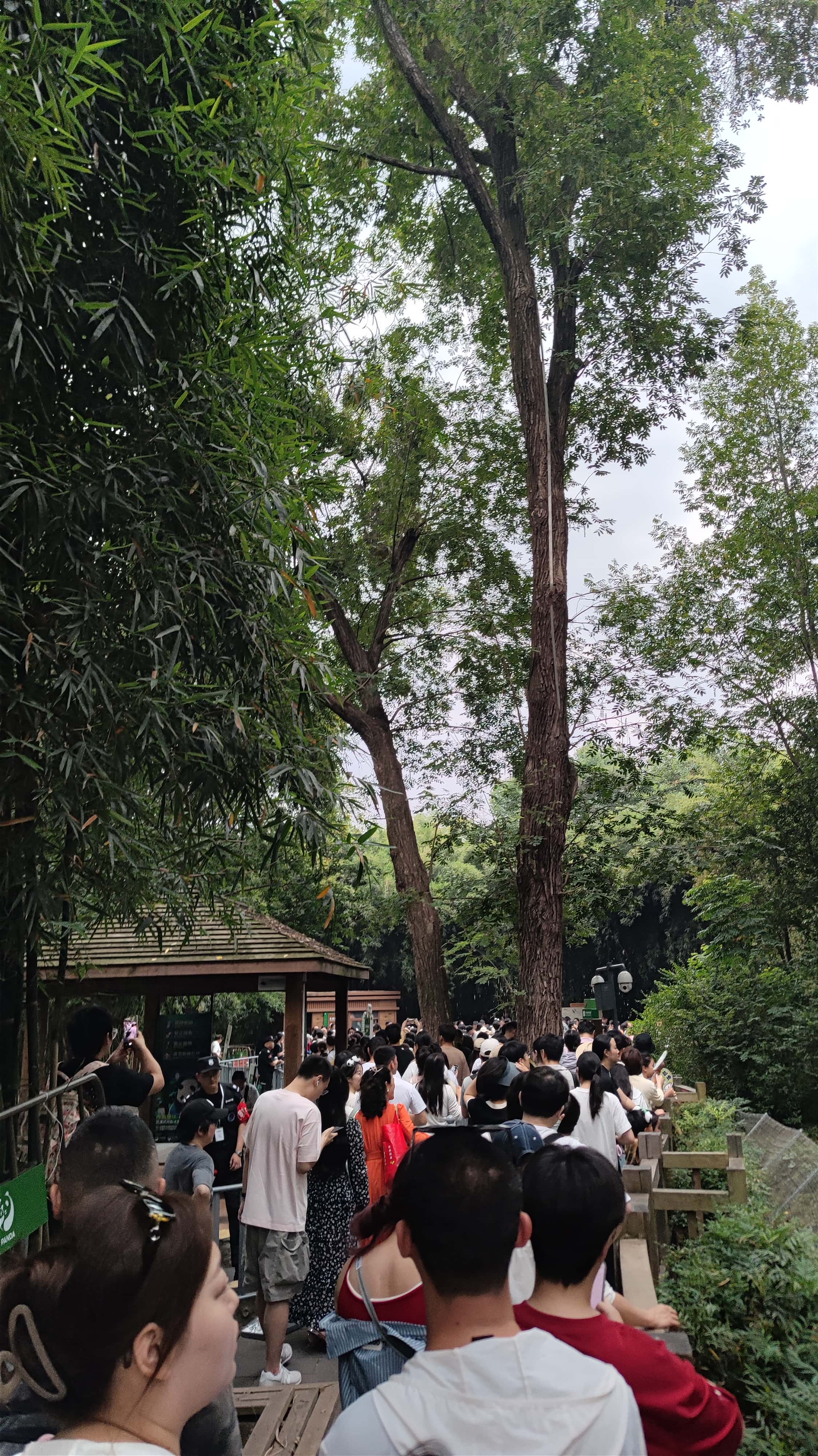 MVIMG_20250614_074626