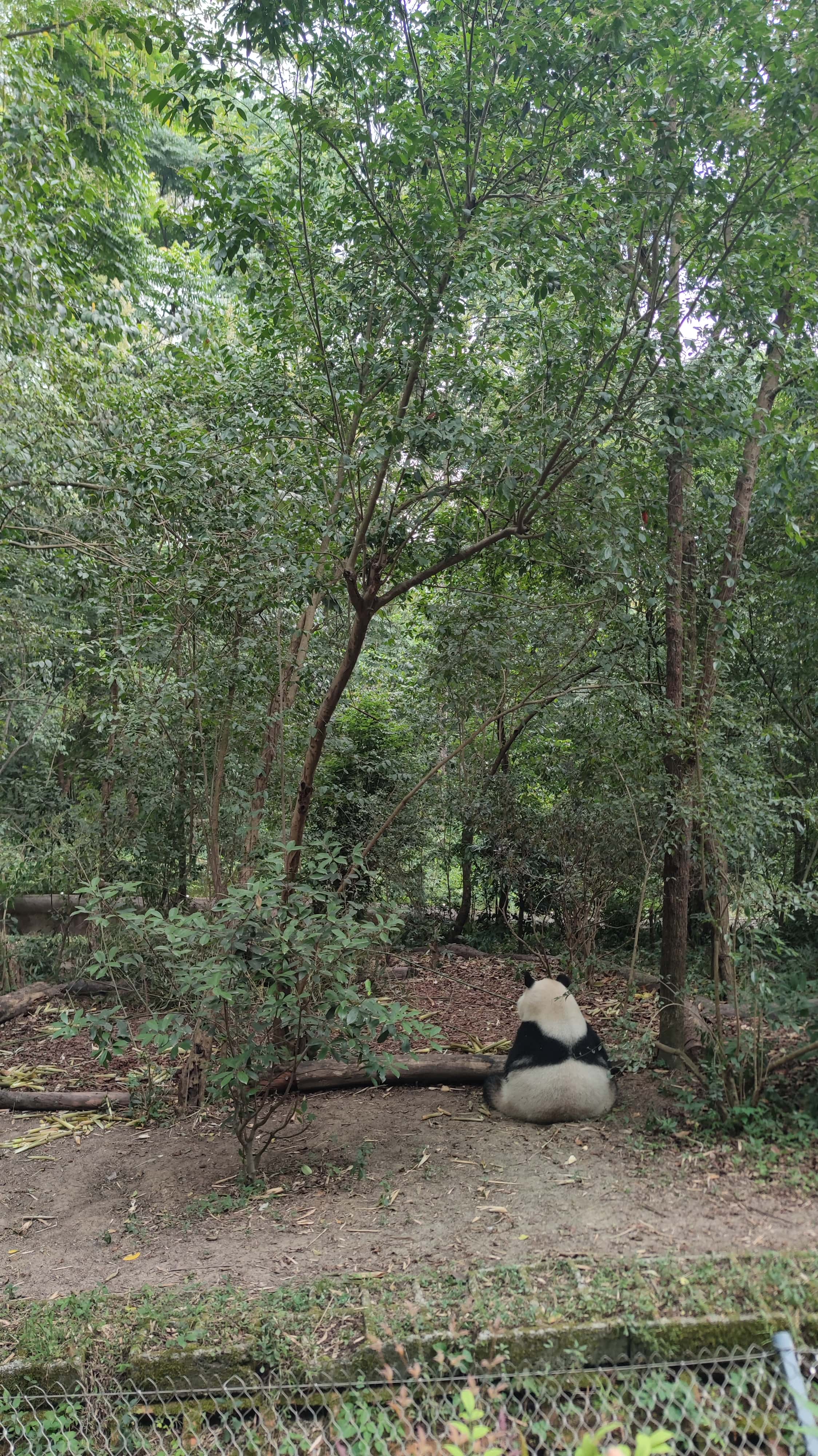 MVIMG_20250614_083540