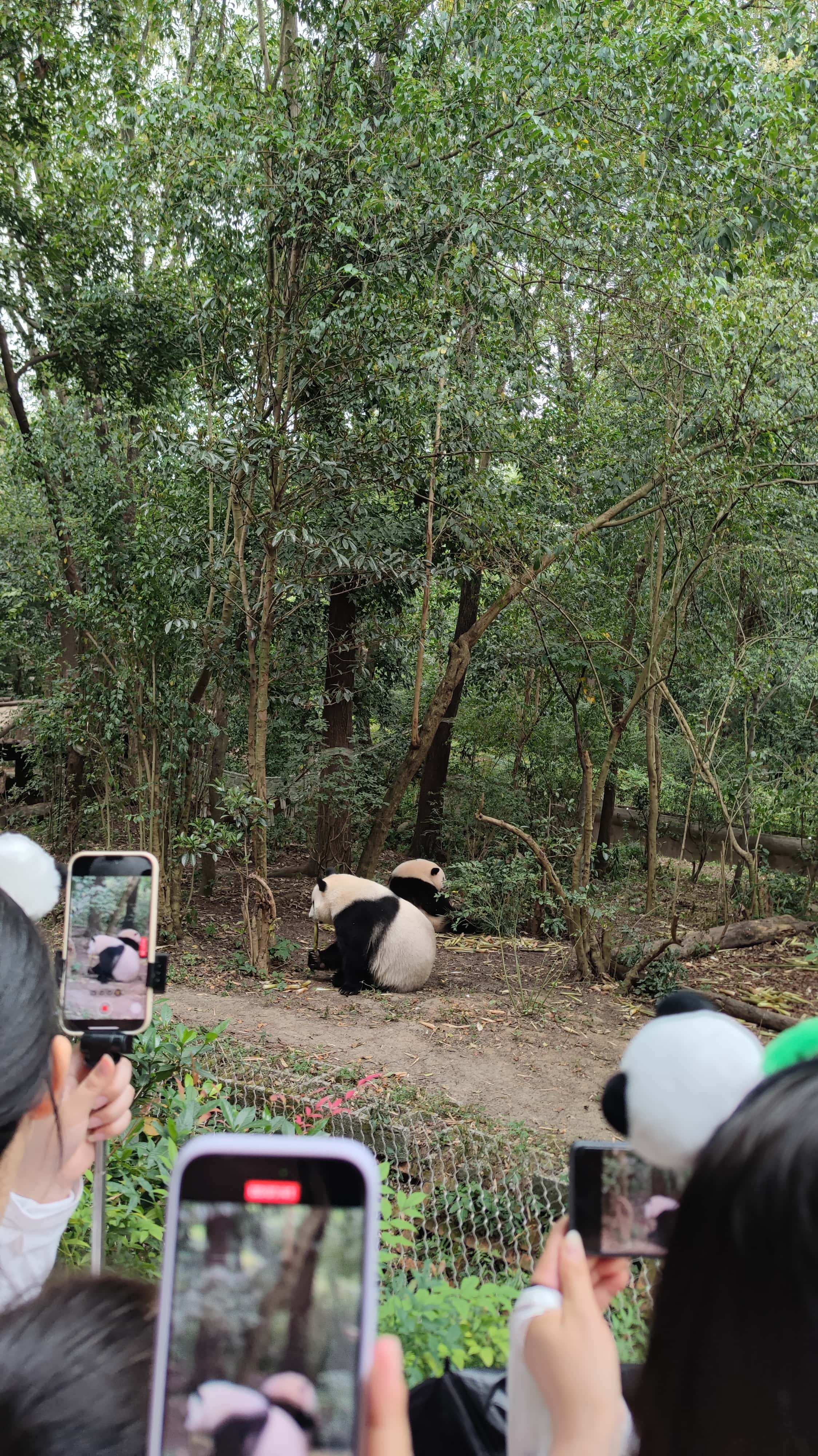 MVIMG_20250614_083716