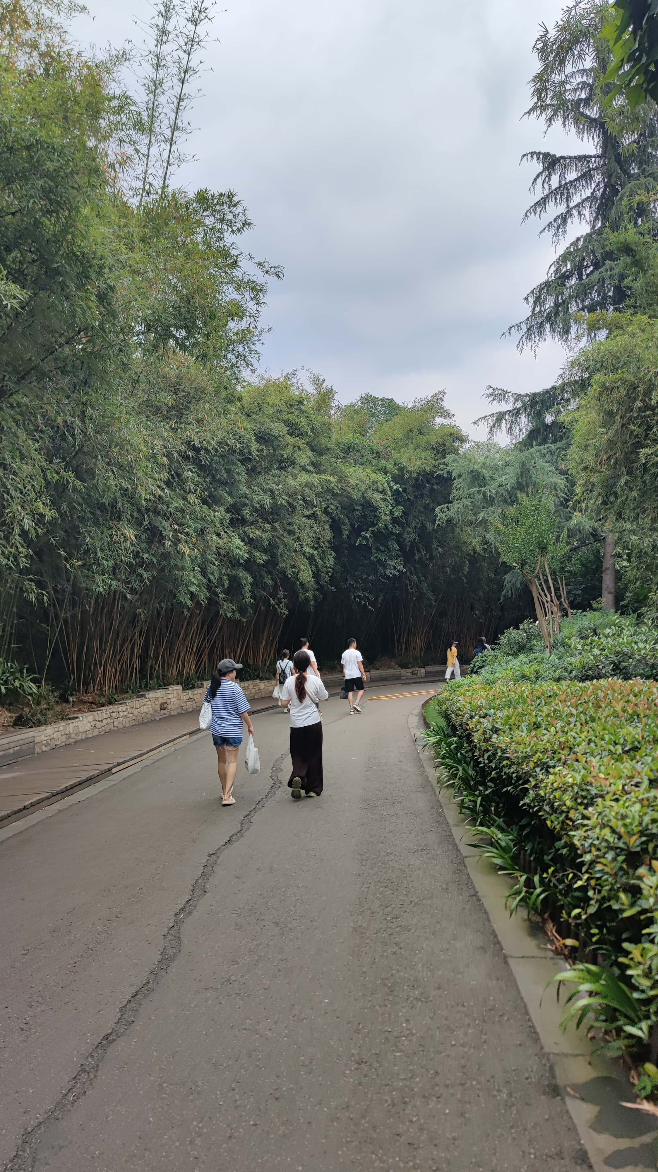 MVIMG_20250614_084433