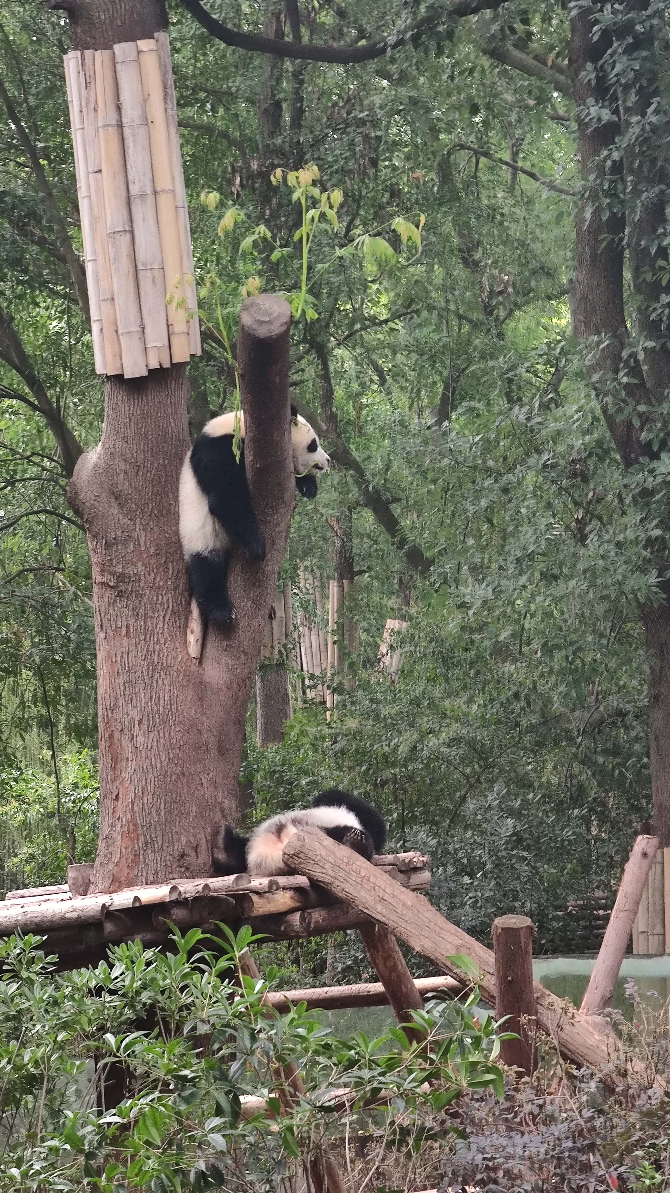 MVIMG_20250614_085427