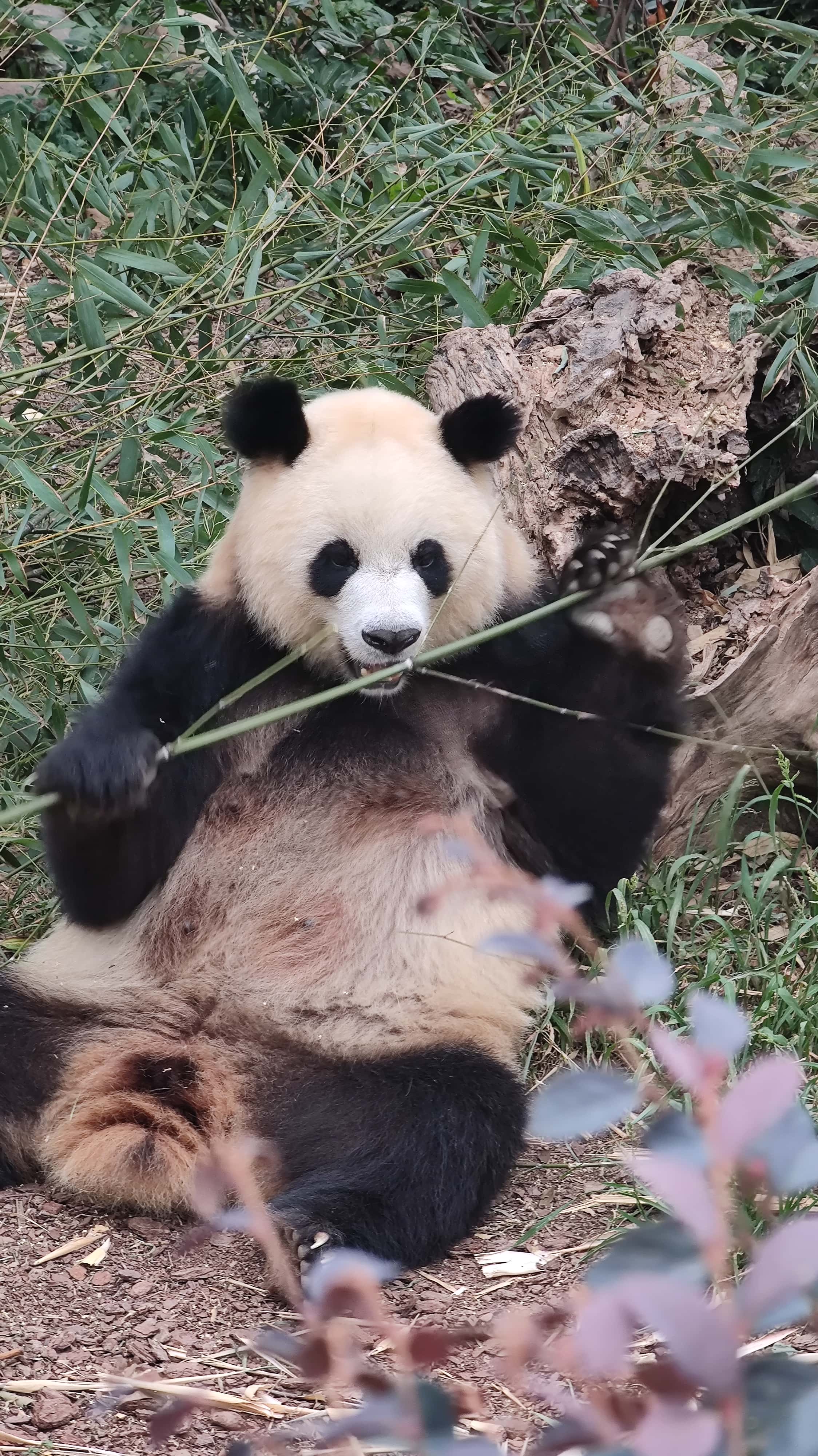 MVIMG_20250614_093629