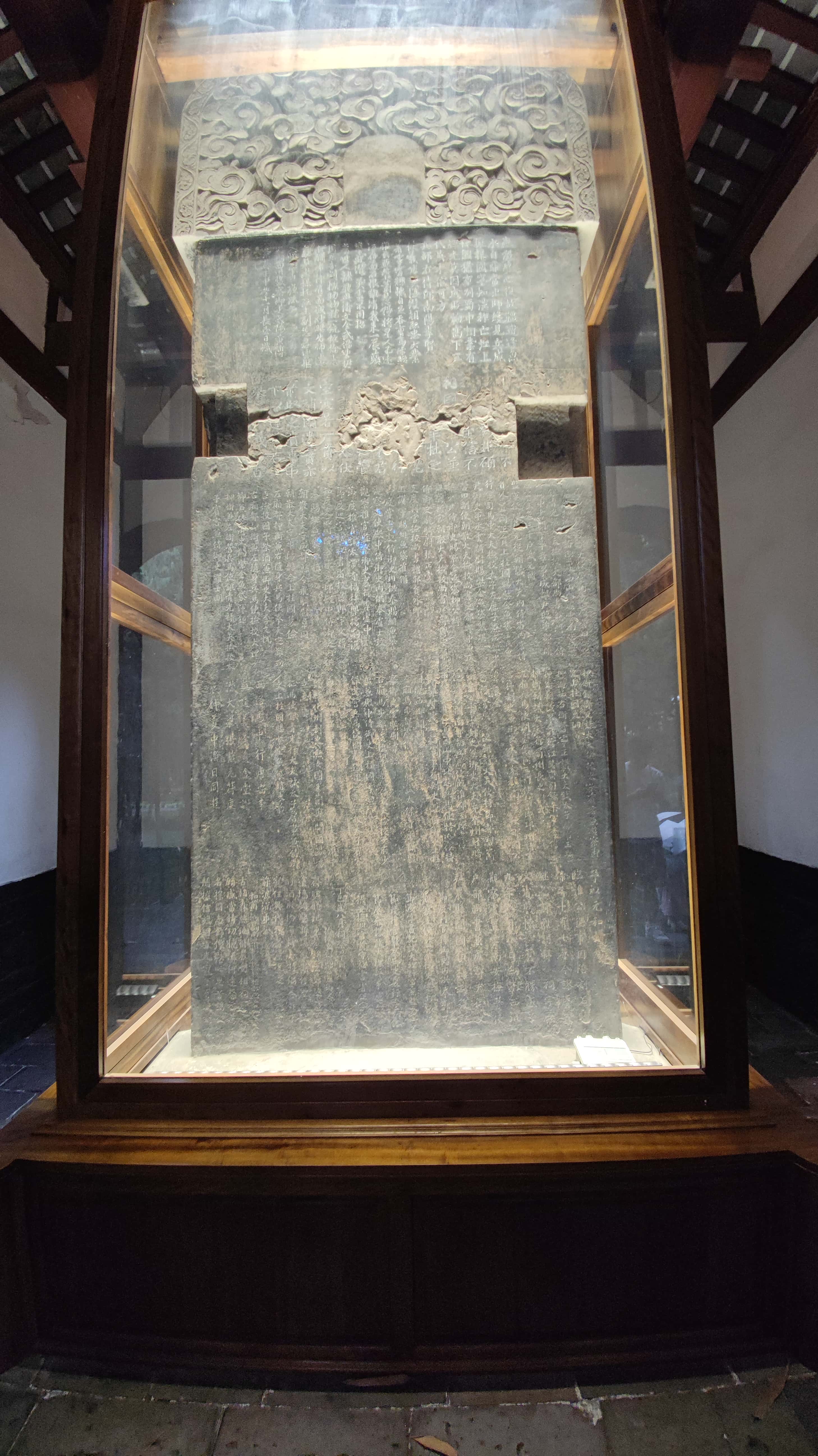 MVIMG_20250614_123421