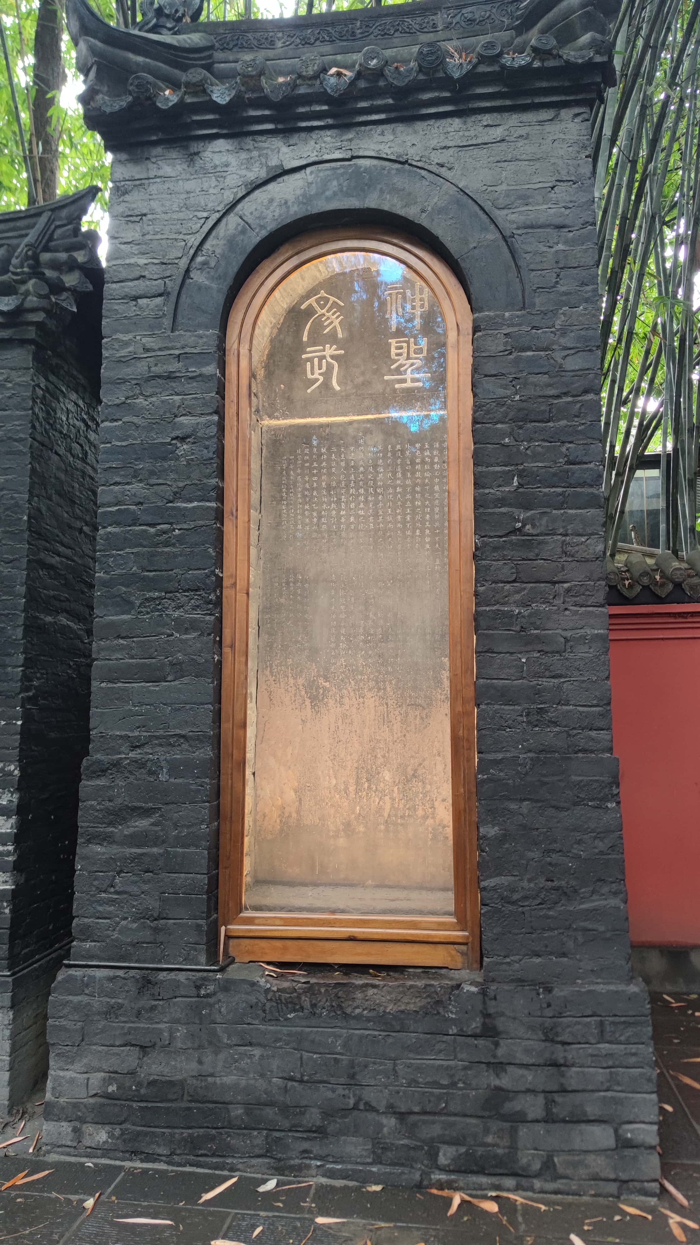 MVIMG_20250614_123502