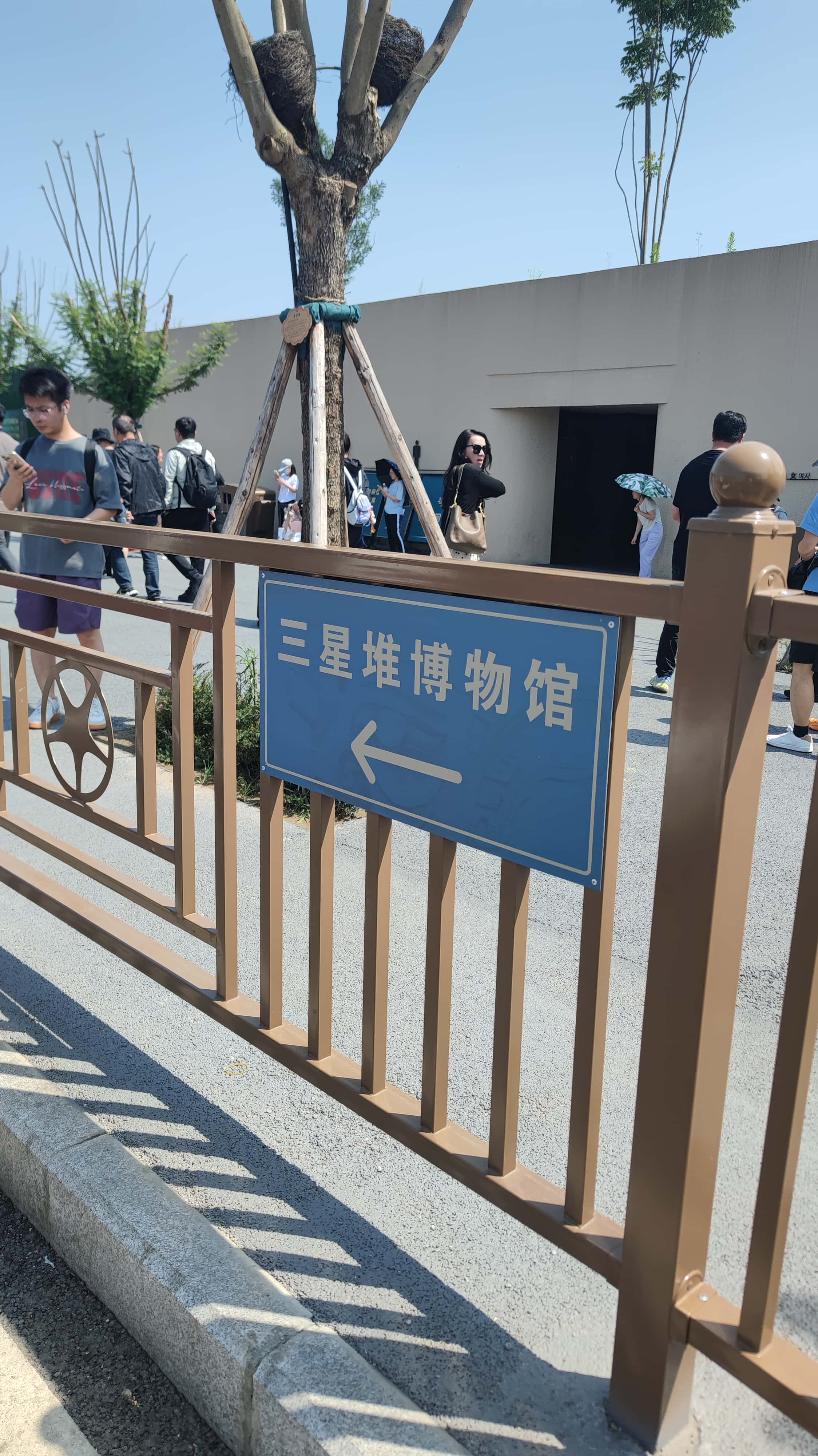 MVIMG_20250615_104704