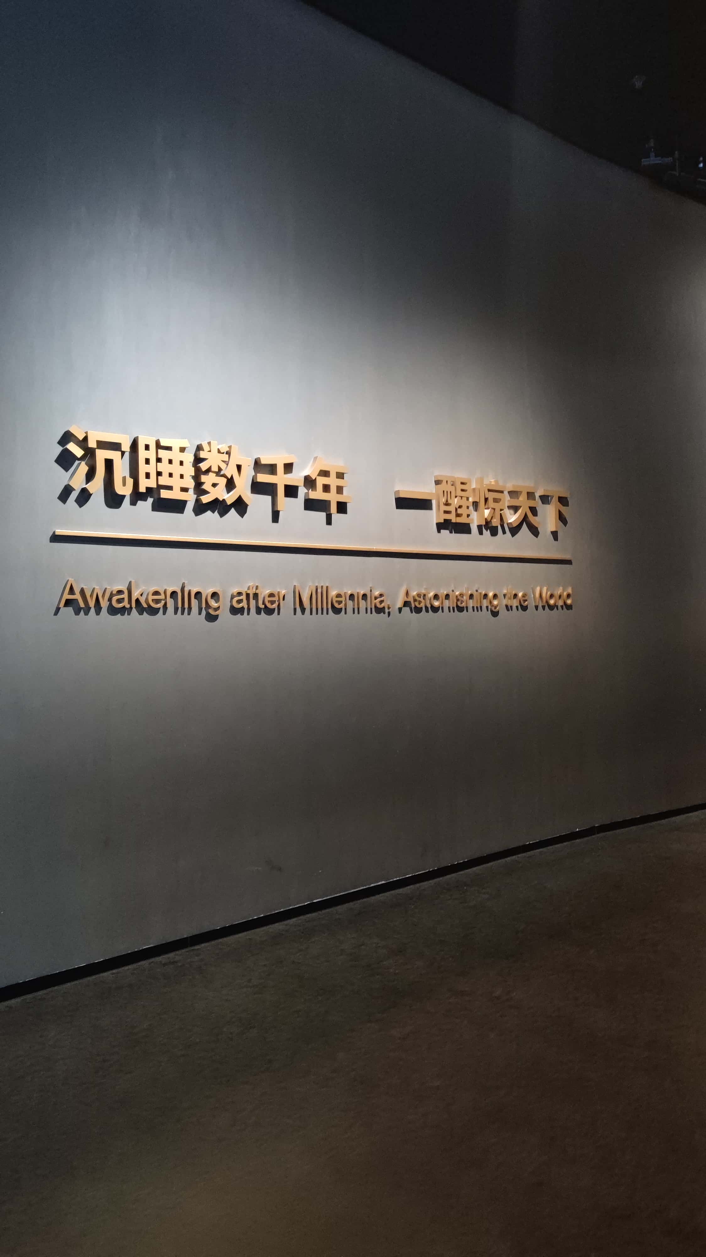 MVIMG_20250615_112220