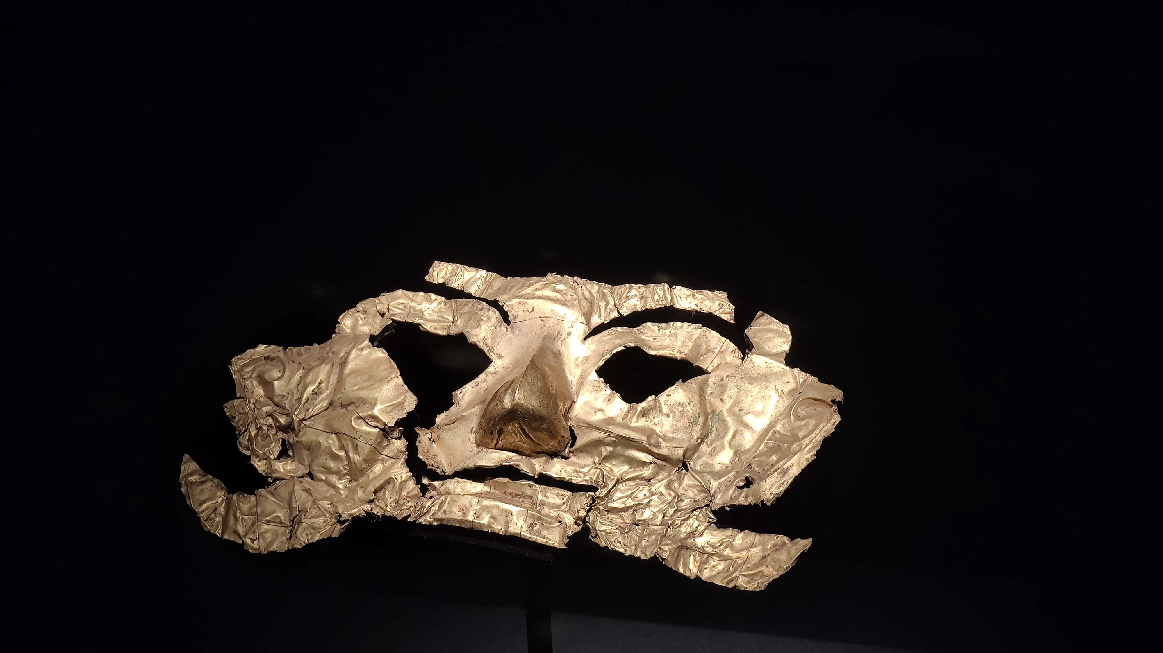 MVIMG_20250615_114350