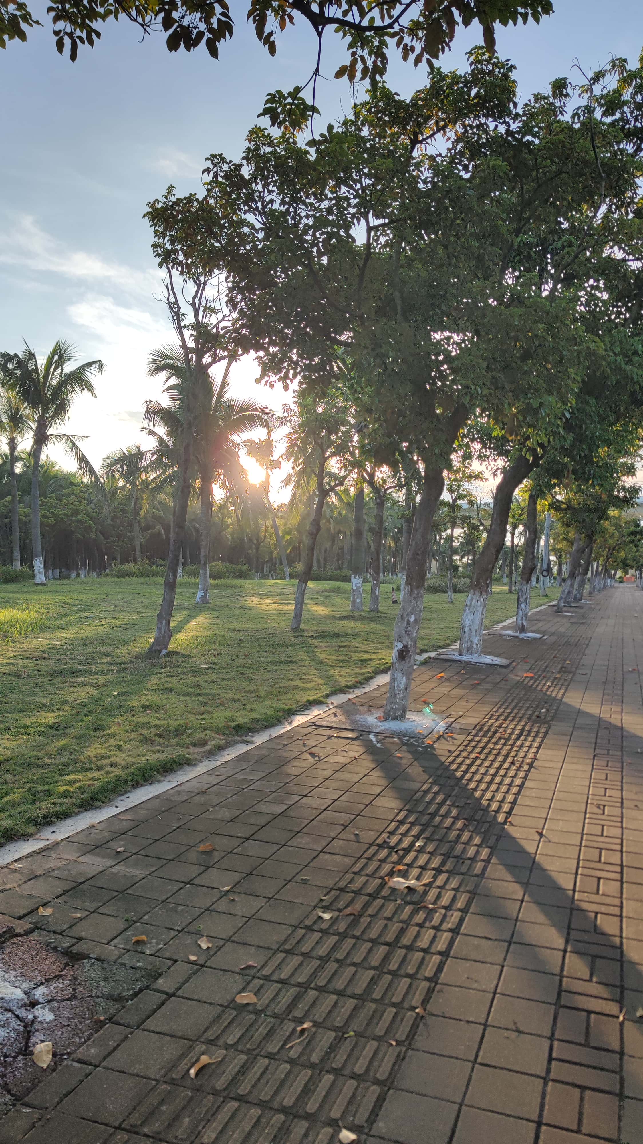 MVIMG_20250630_063644