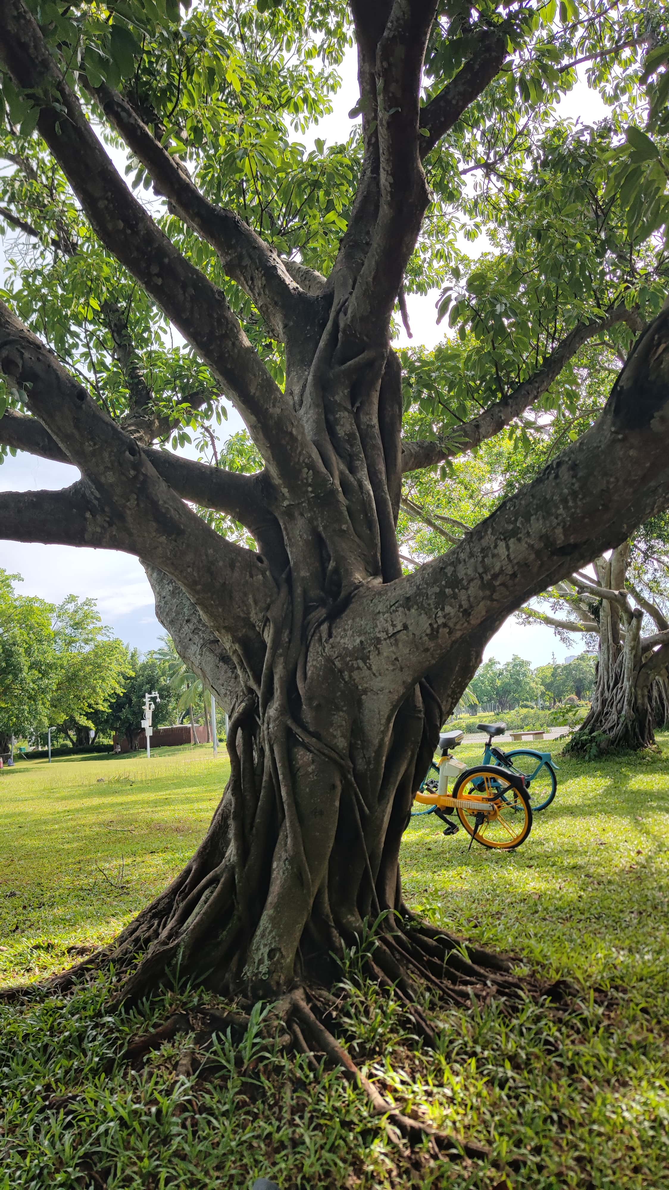 MVIMG_20250630_085921