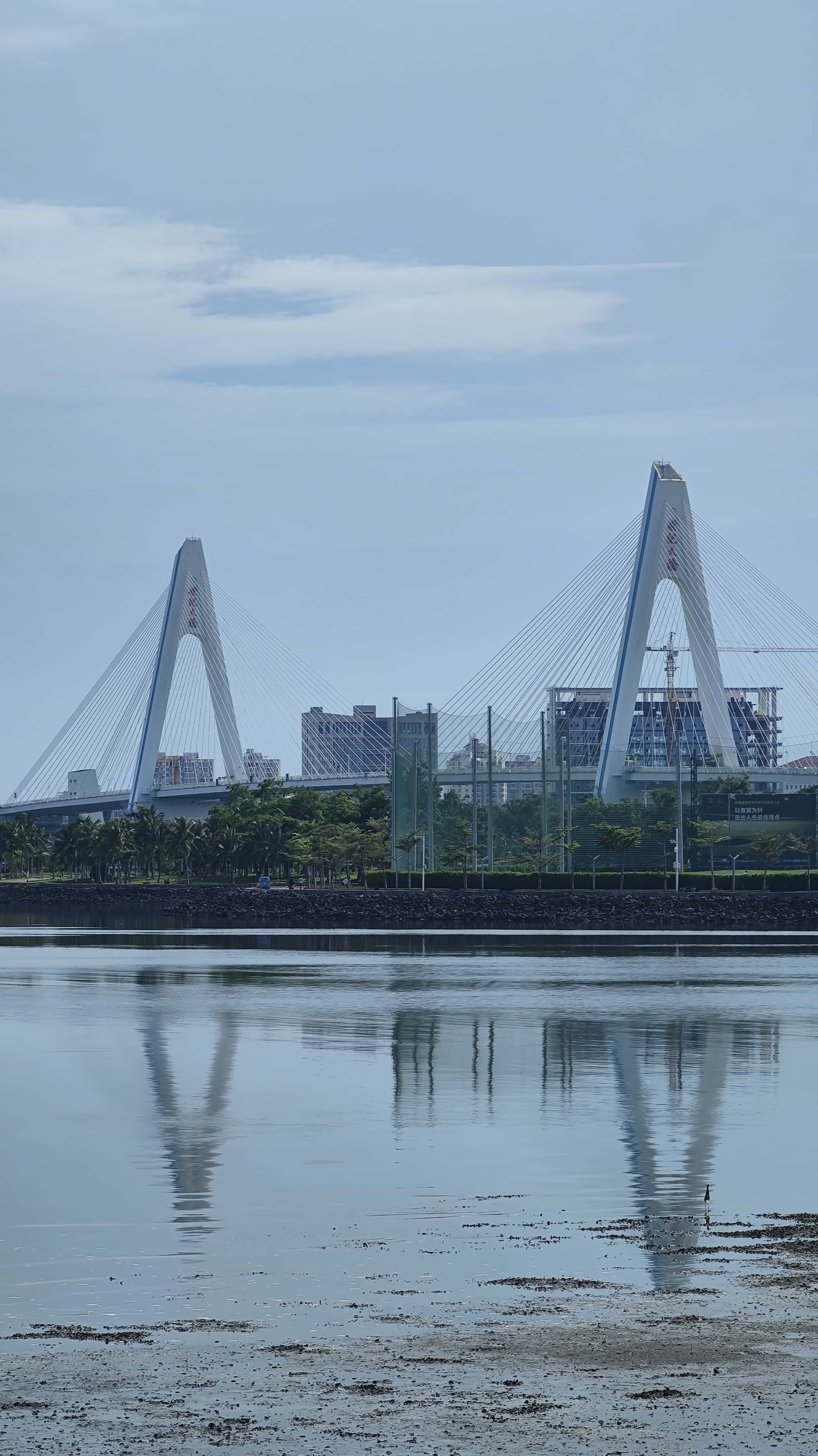 MVIMG_20250630_092102