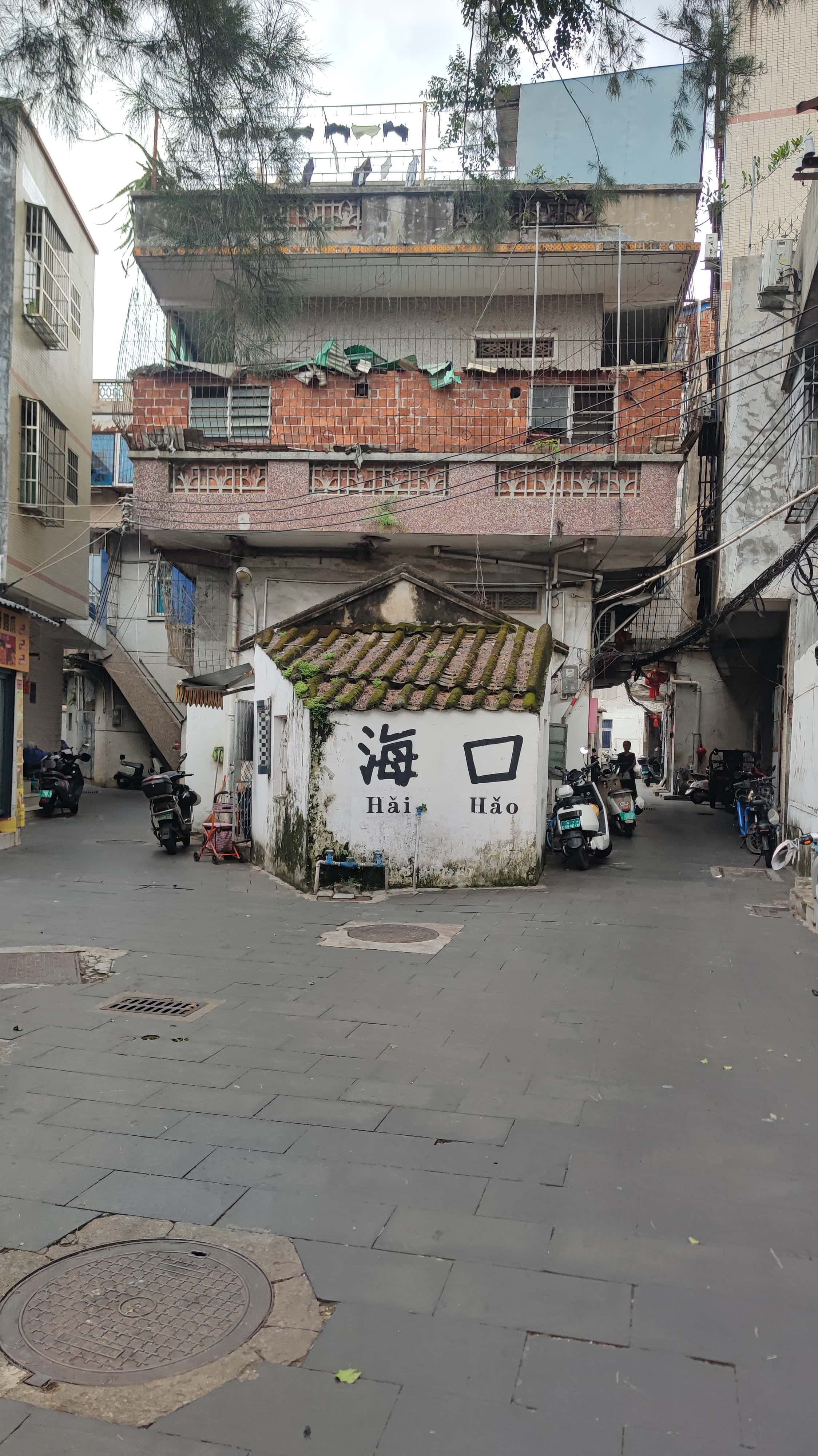 MVIMG_20250630_105857