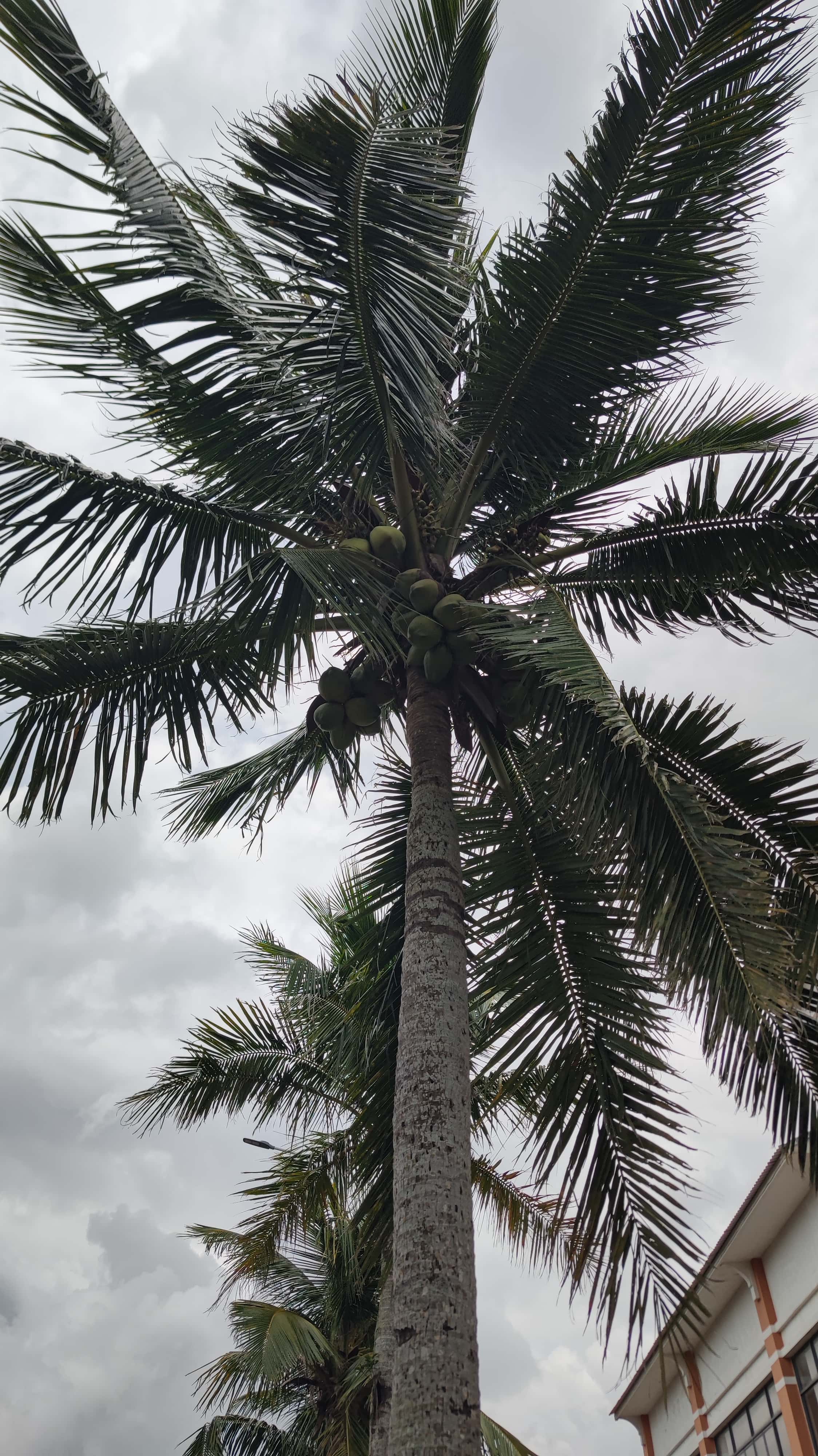 MVIMG_20250630_132033