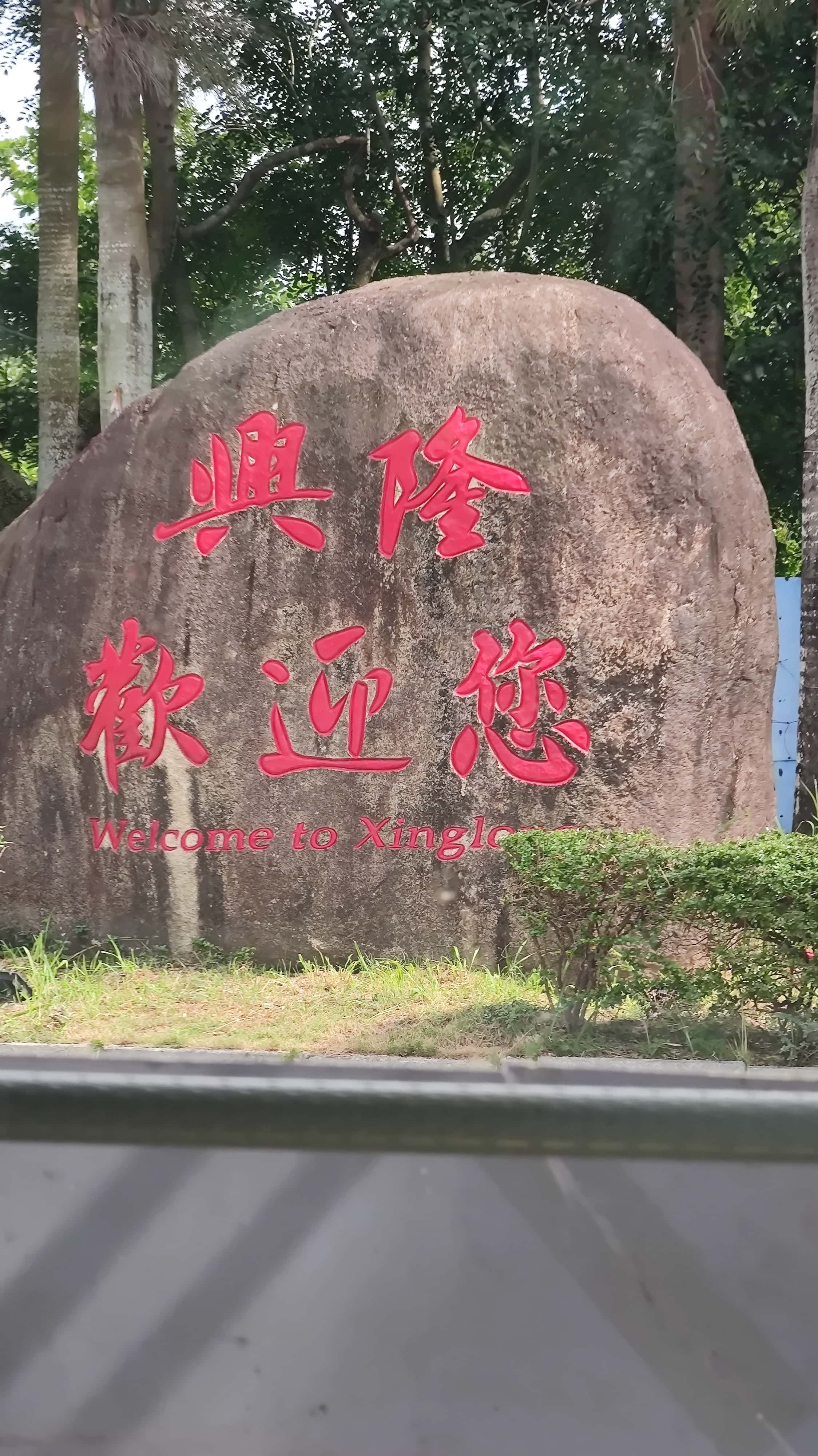 MVIMG_20250701_095037_1