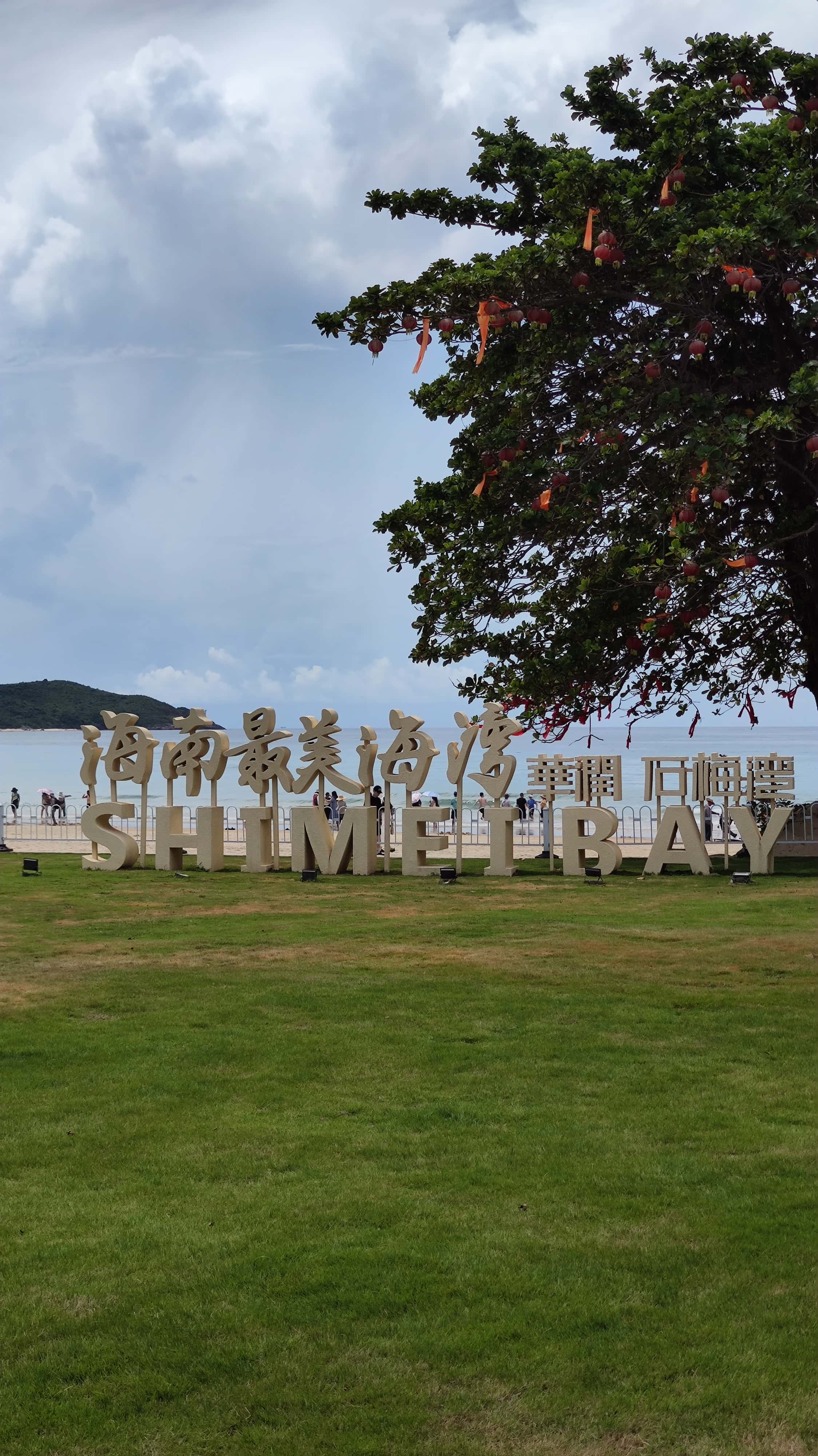 MVIMG_20250701_105941