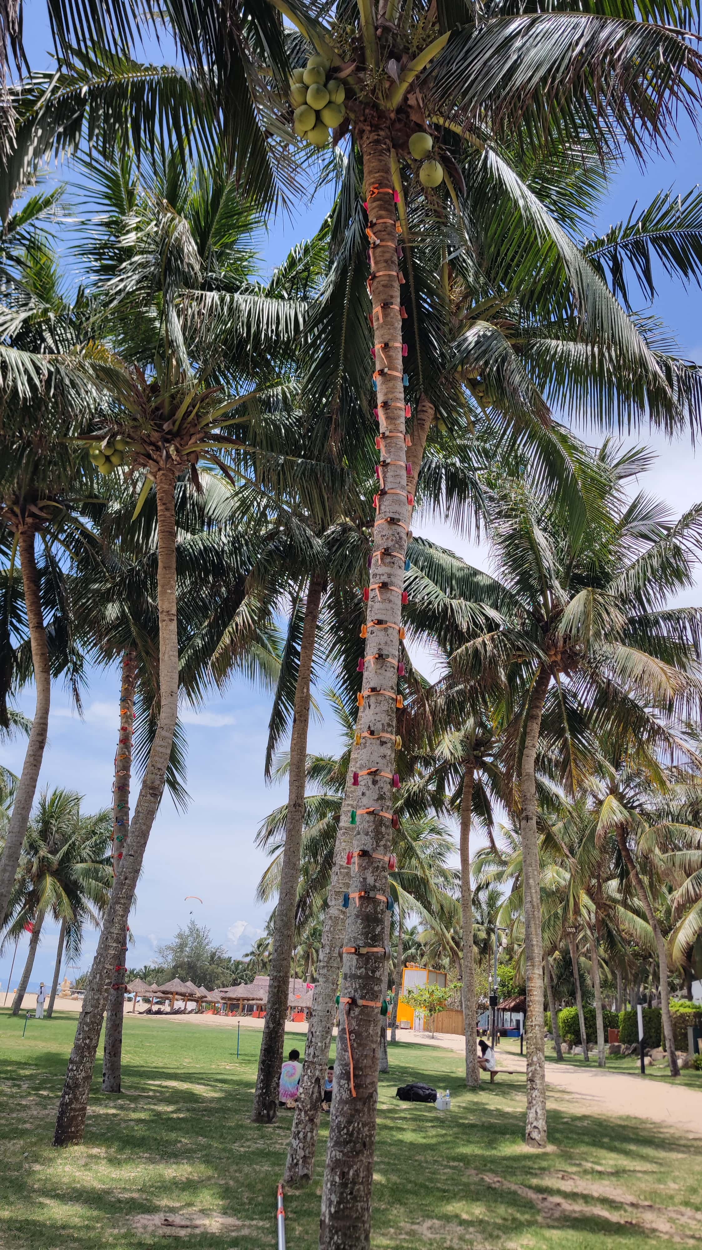 MVIMG_20250701_120053