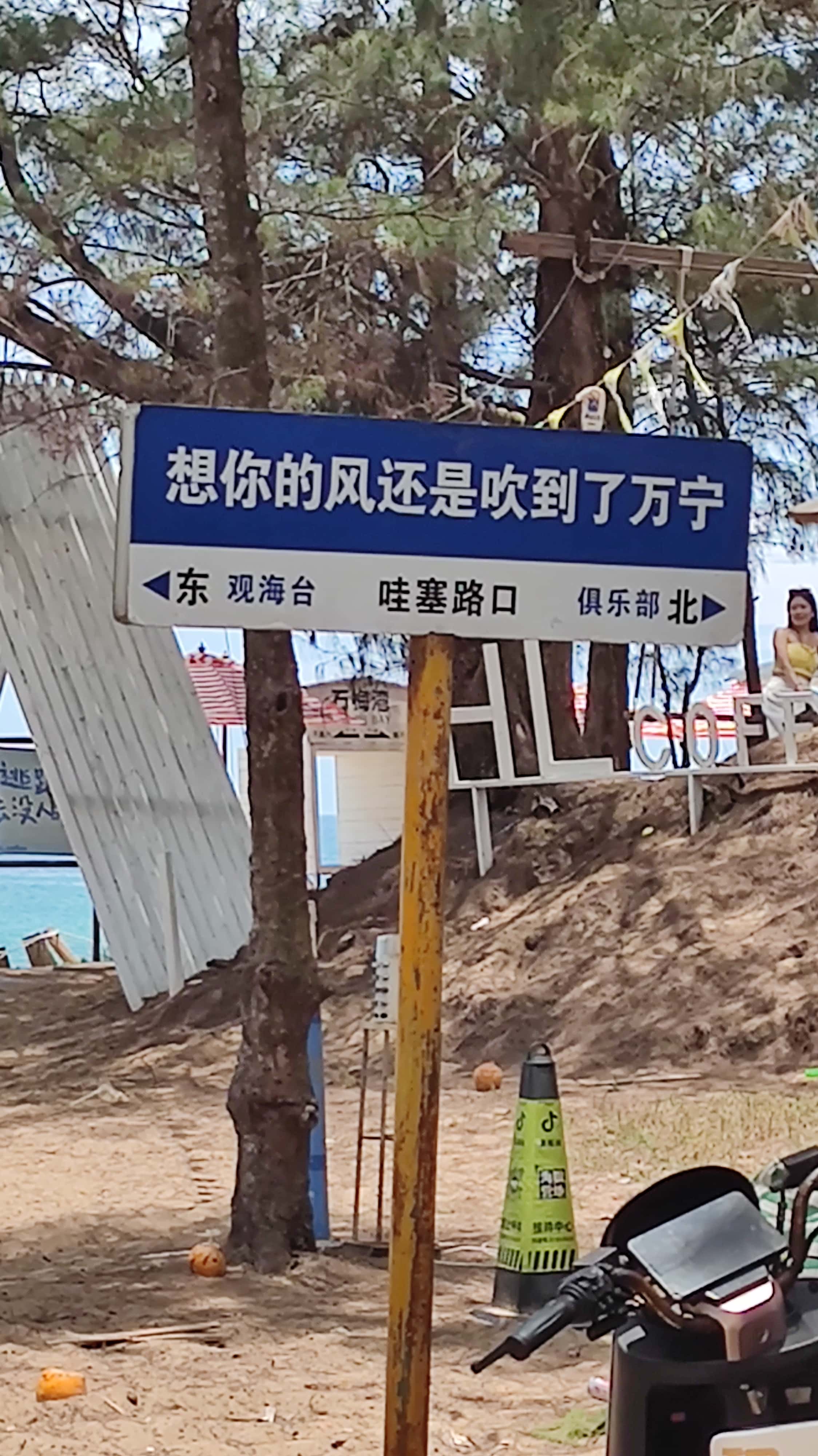 MVIMG_20250701_122805