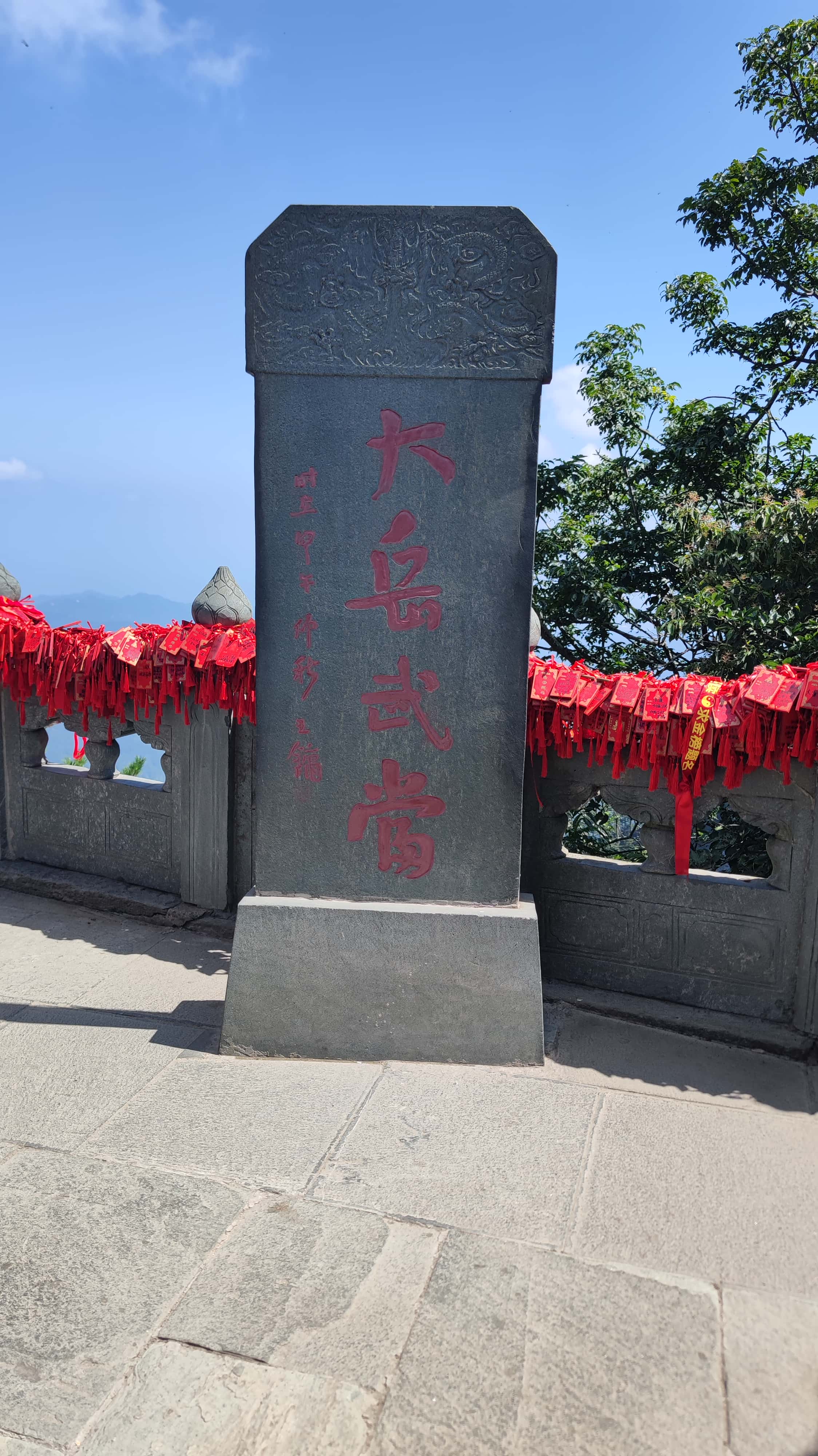 IMG_20250714_103208_1