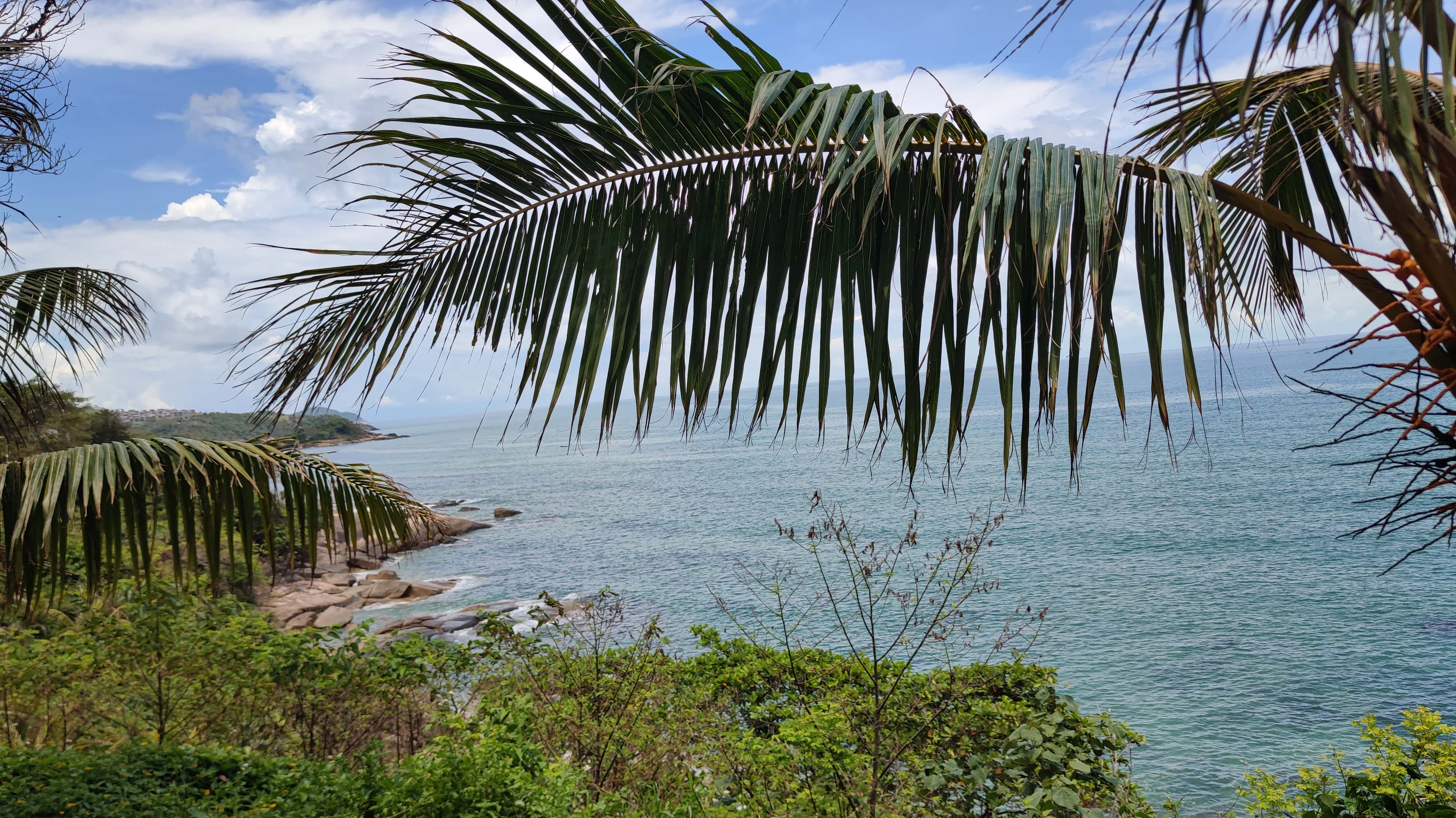 MVIMG_20250701_124137