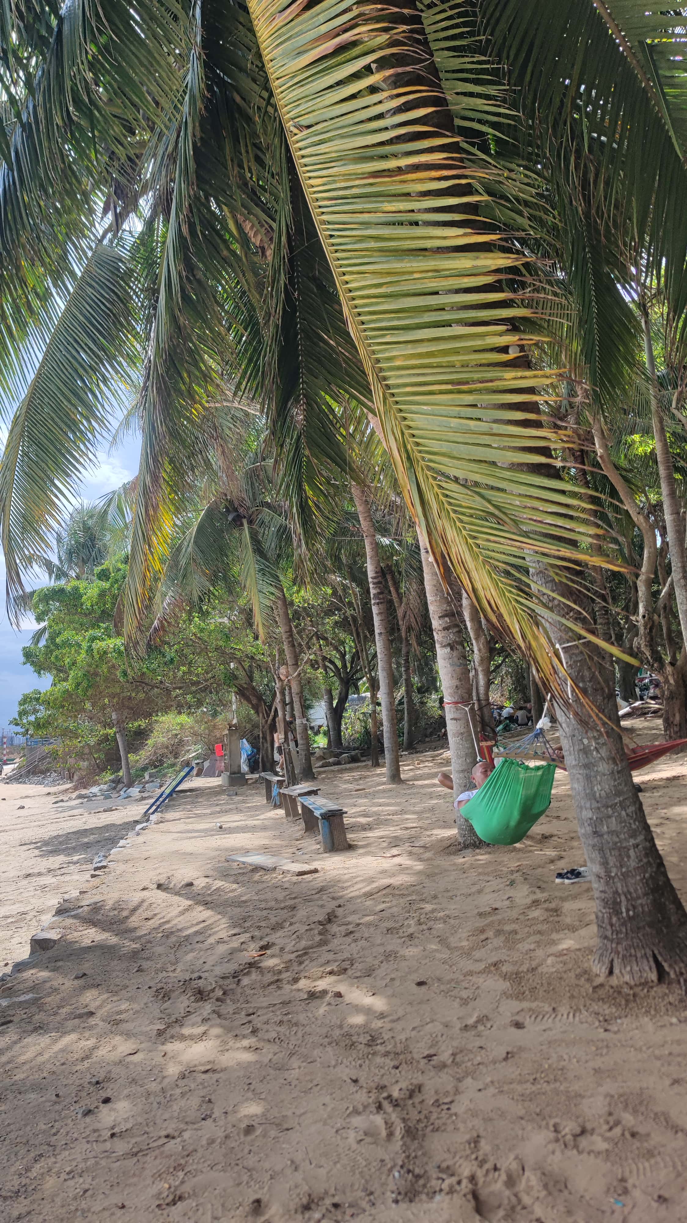 MVIMG_20250701_151418