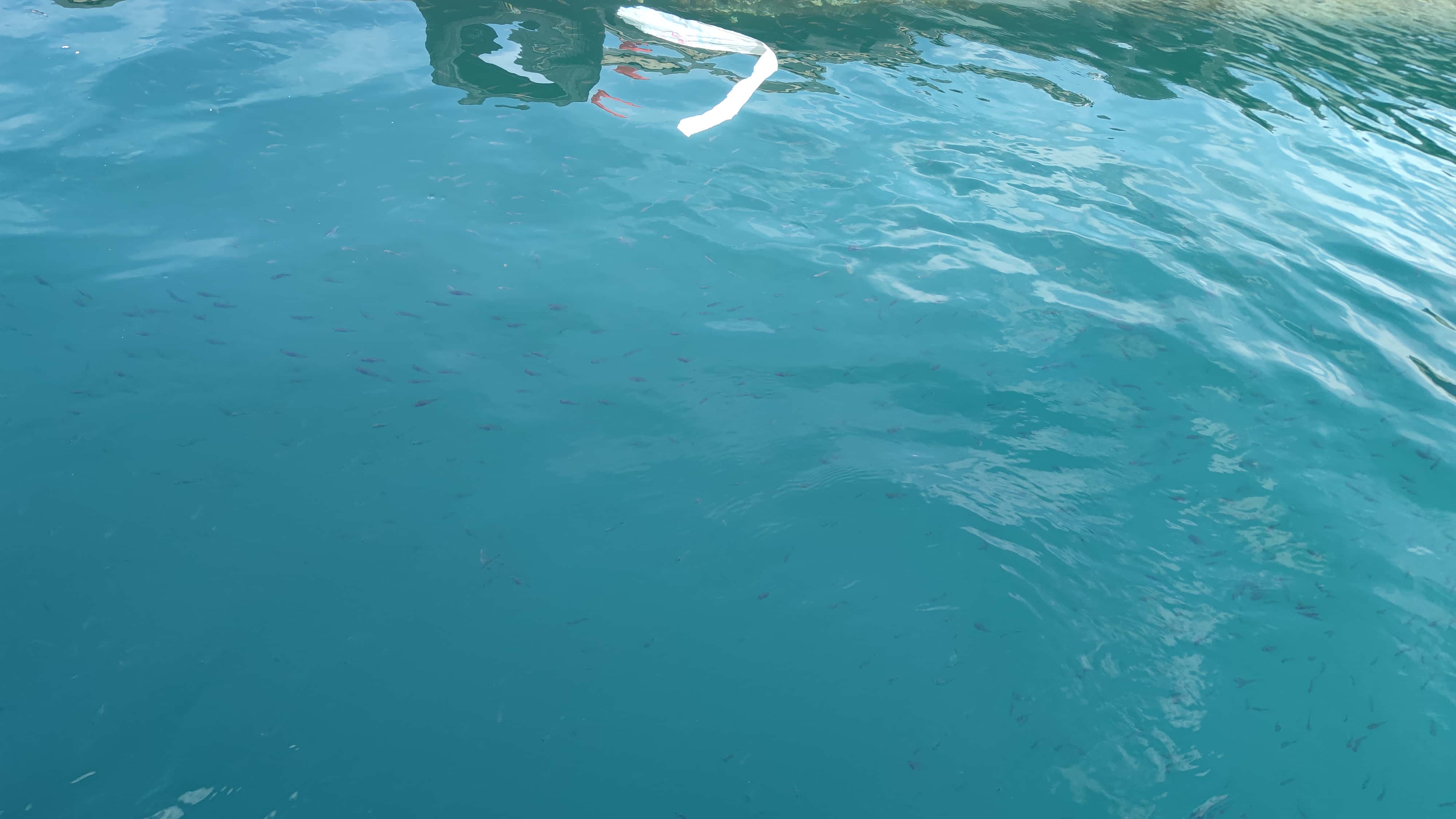 MVIMG_20250701_154143