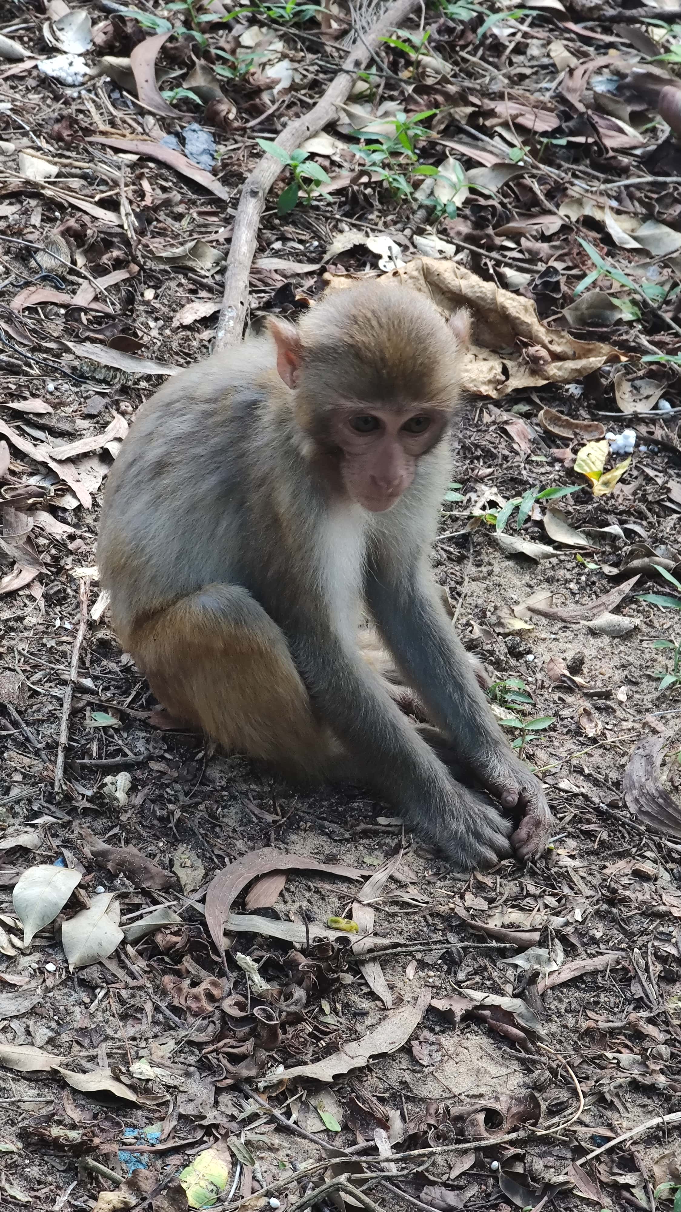 MVIMG_20250701_161502