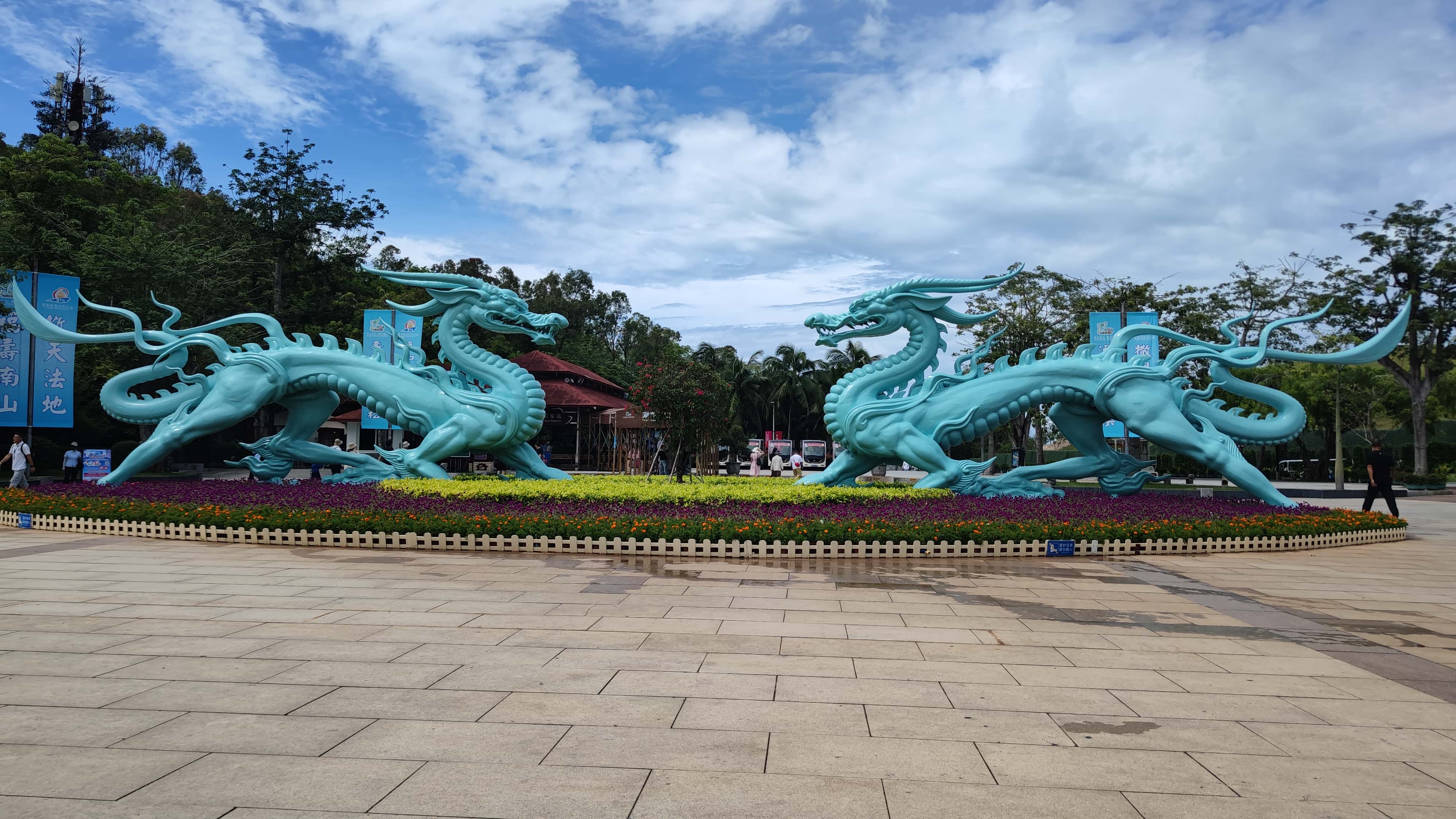 MVIMG_20250702_103223