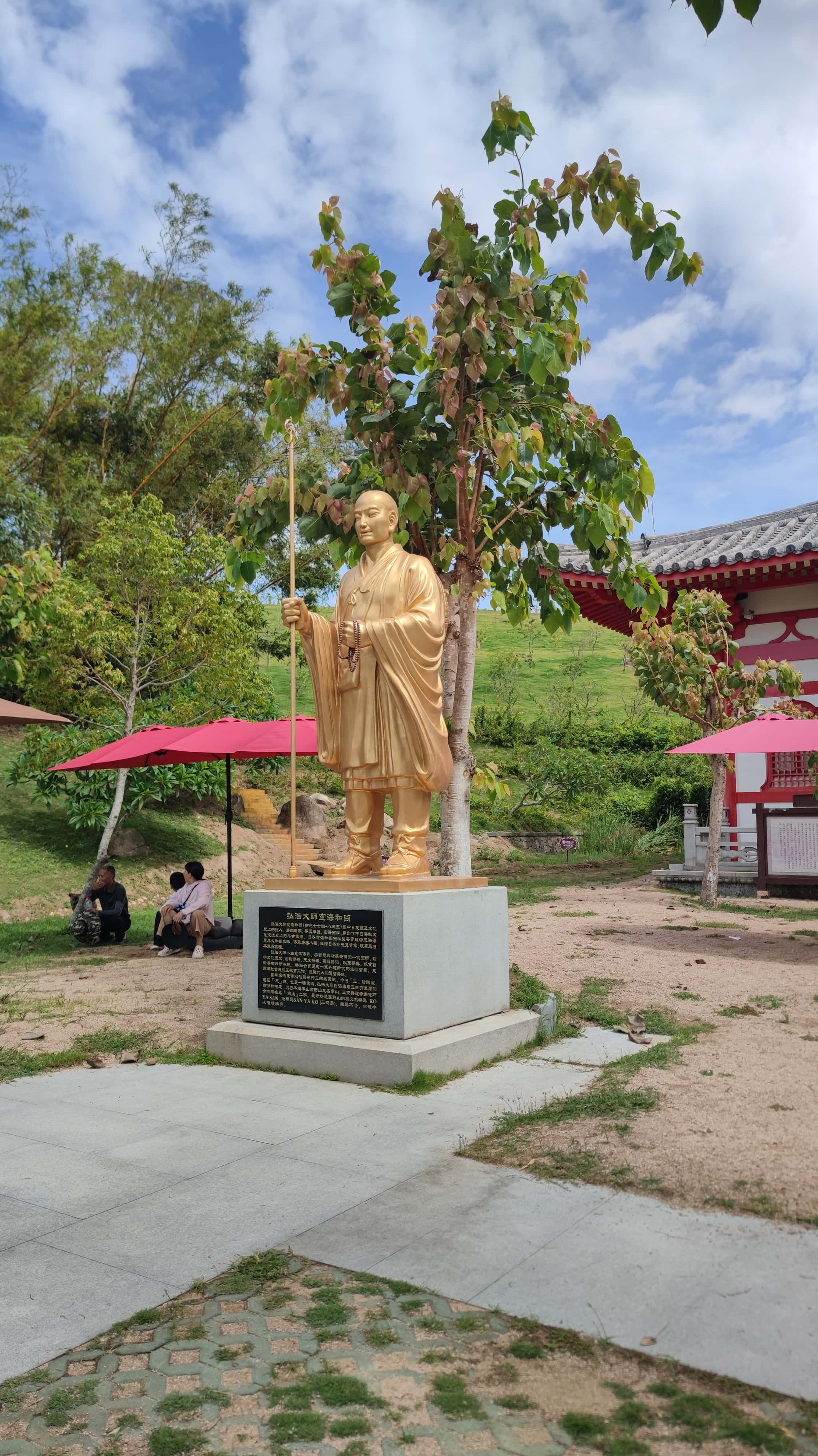 MVIMG_20250702_103816