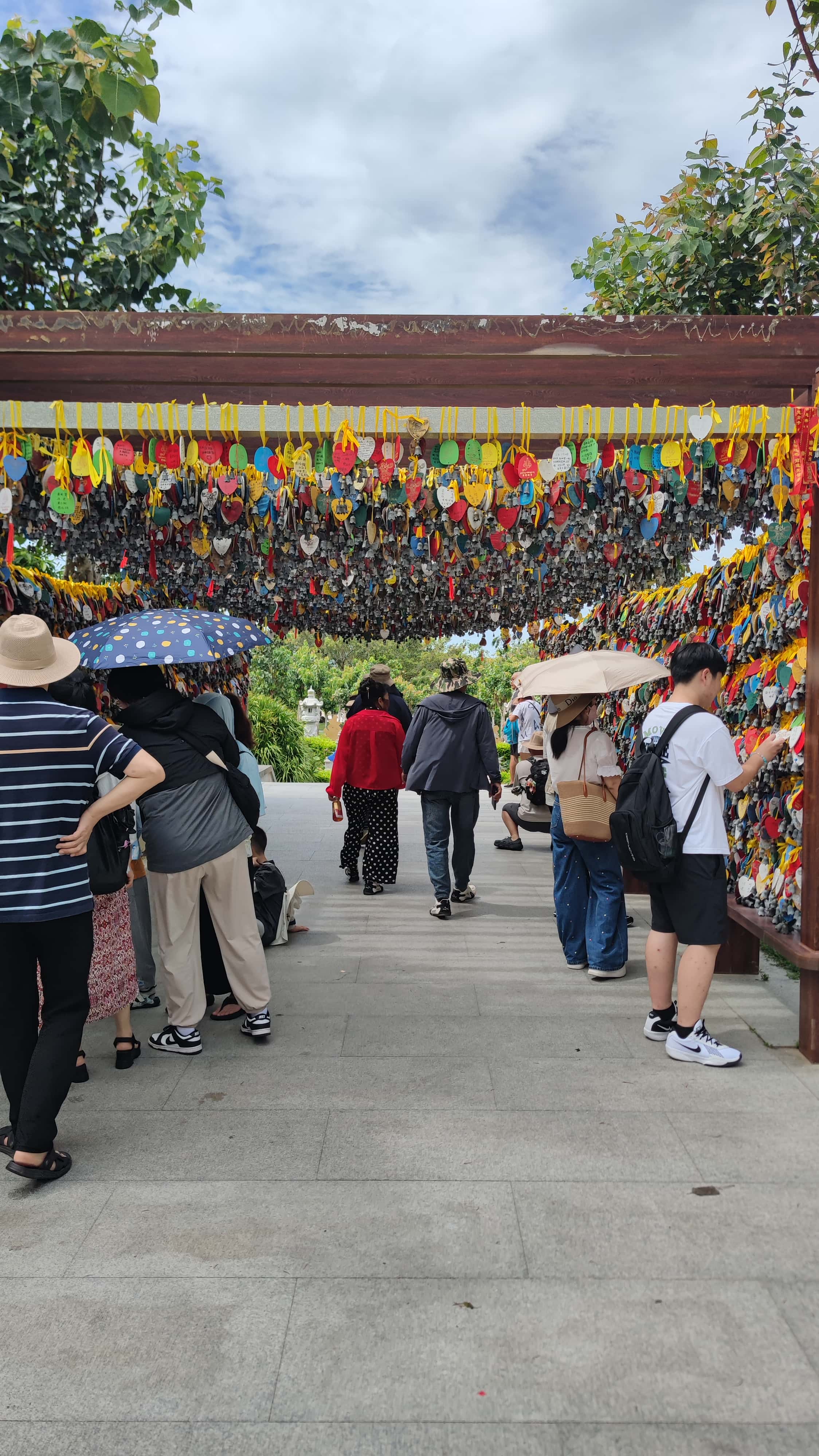 MVIMG_20250702_103900