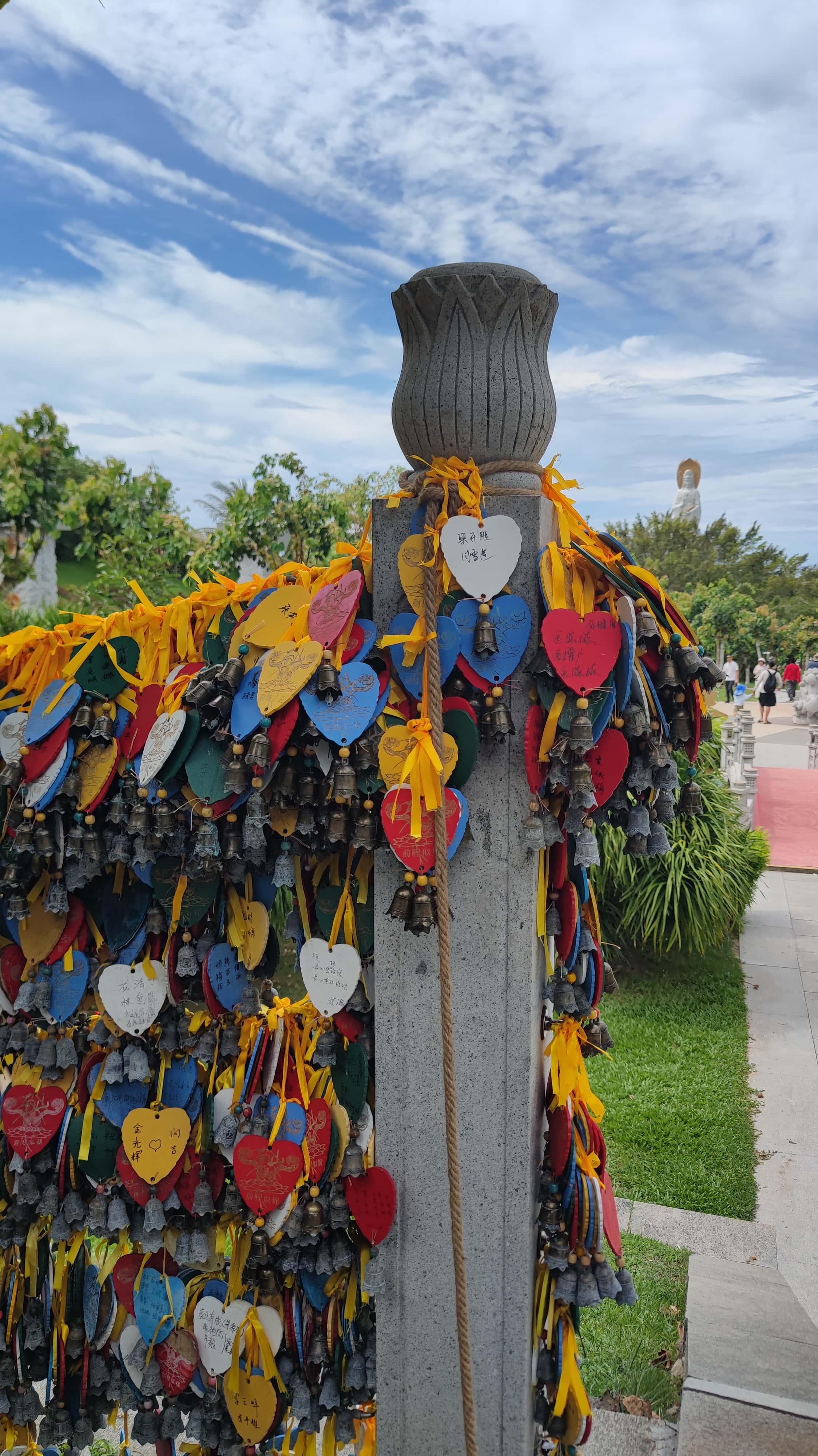 MVIMG_20250702_103954