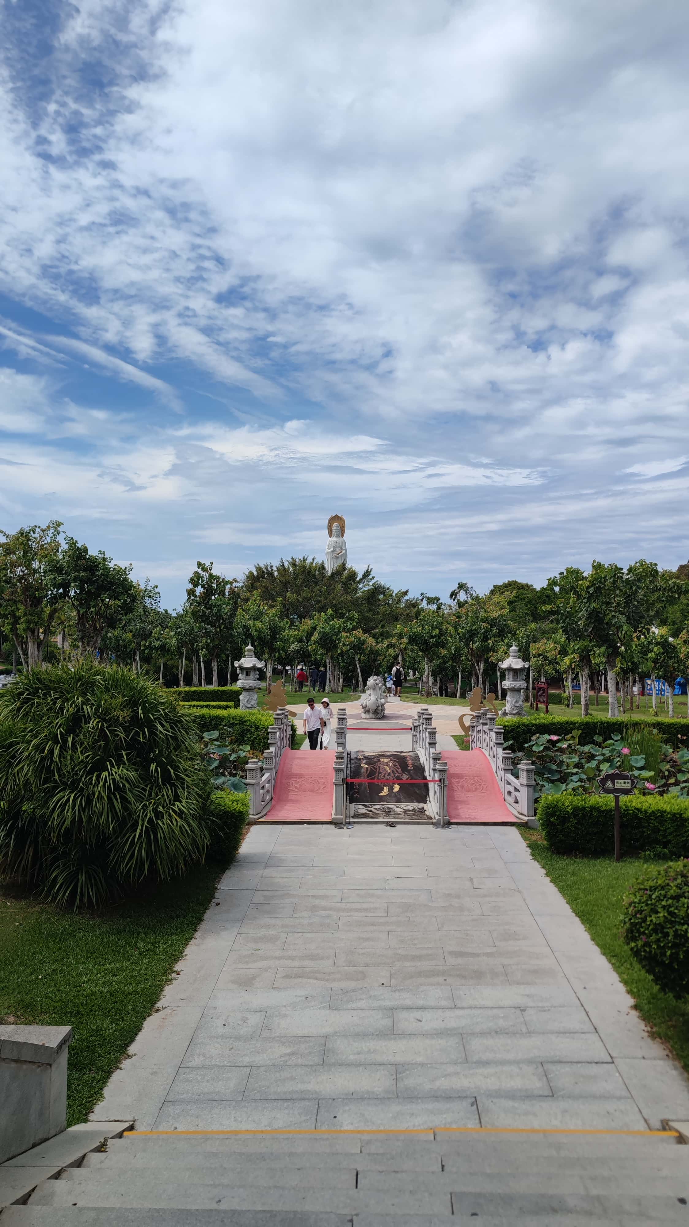 MVIMG_20250702_104009