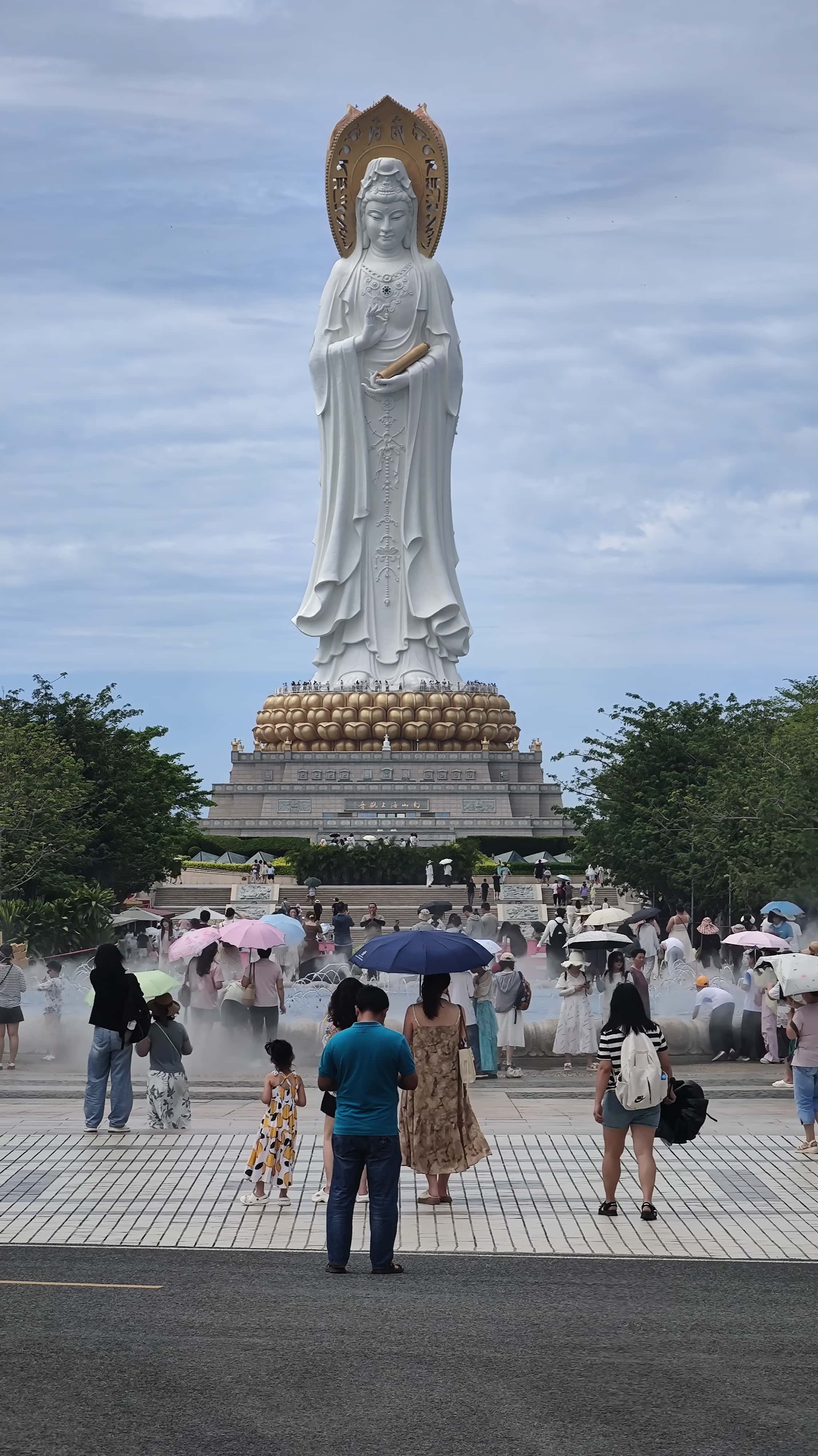 MVIMG_20250702_104628