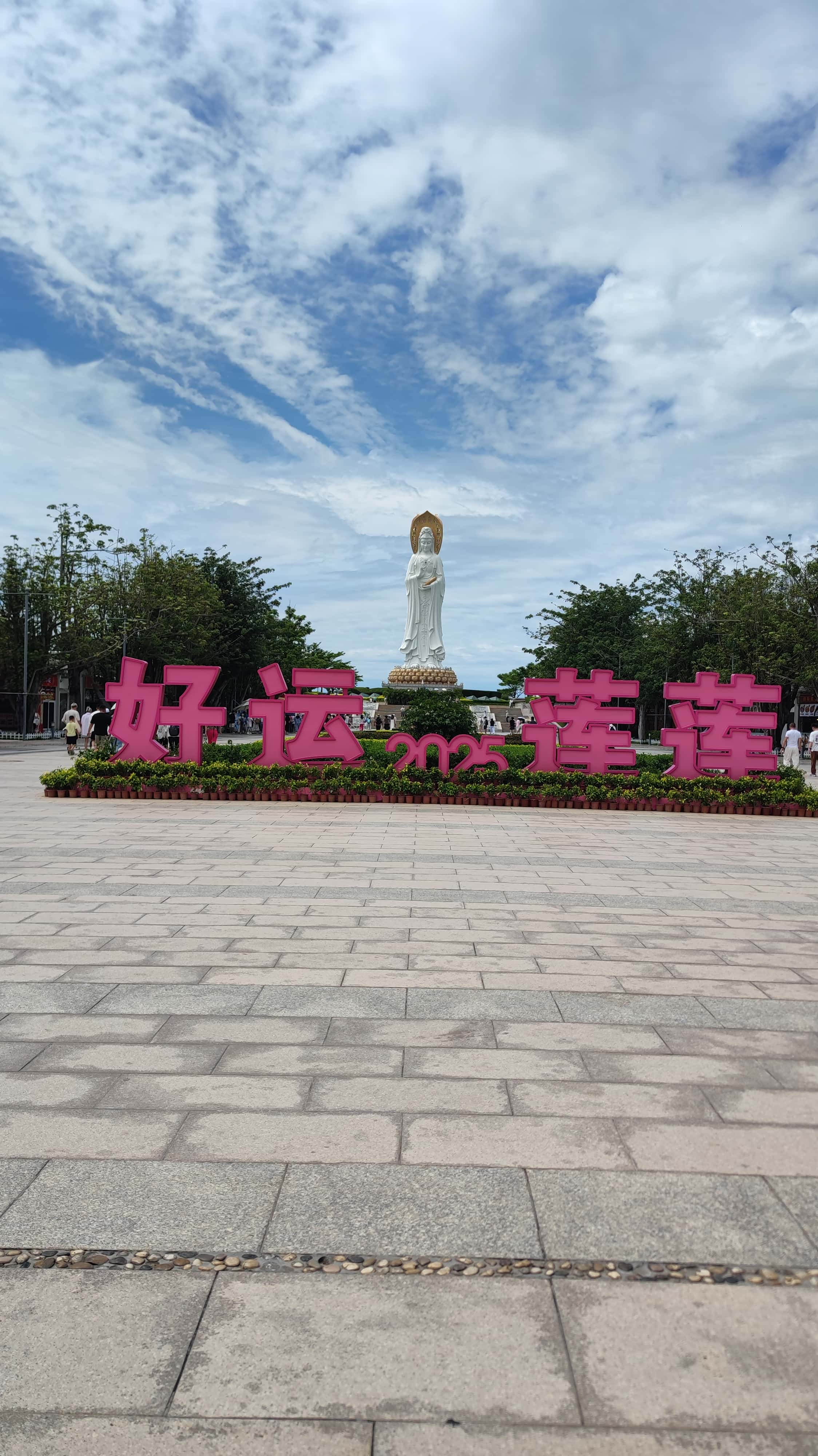 MVIMG_20250702_105503_1