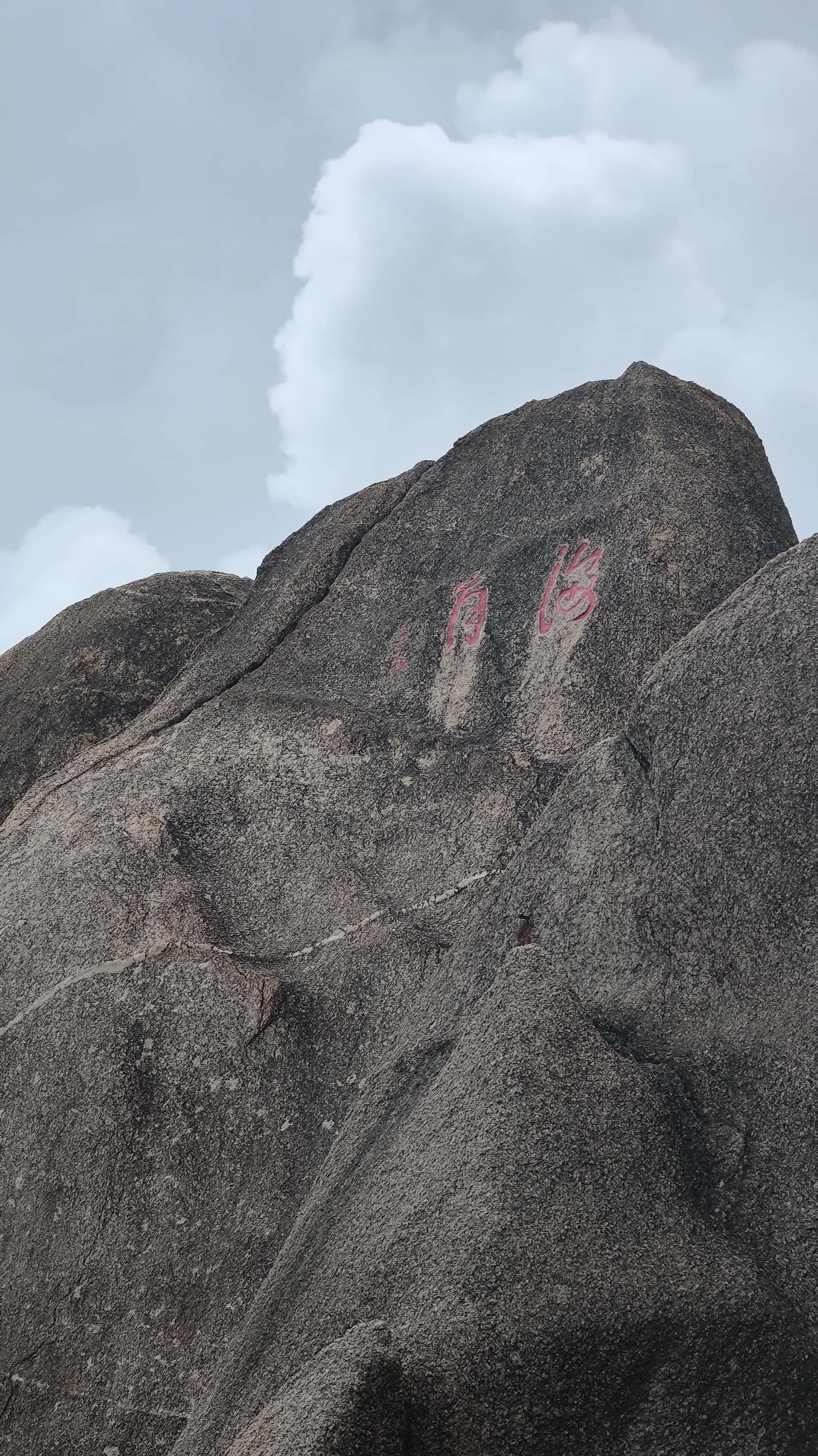 MVIMG_20250702_141228