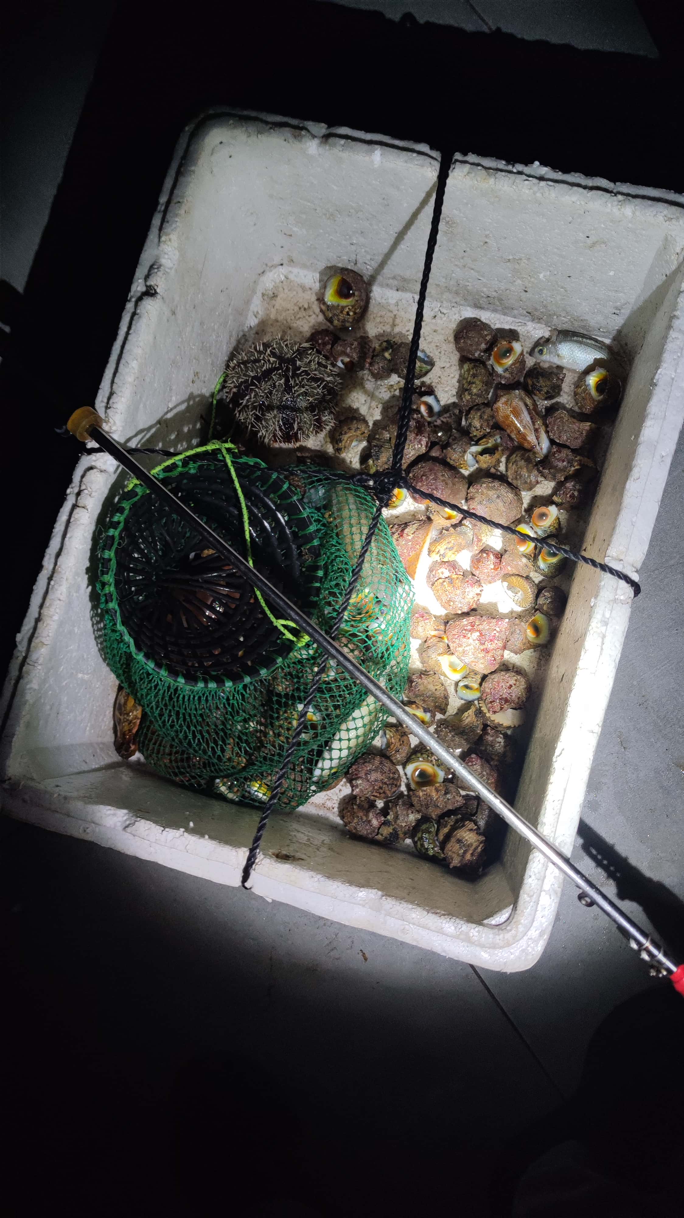 MVIMG_20250702_223313