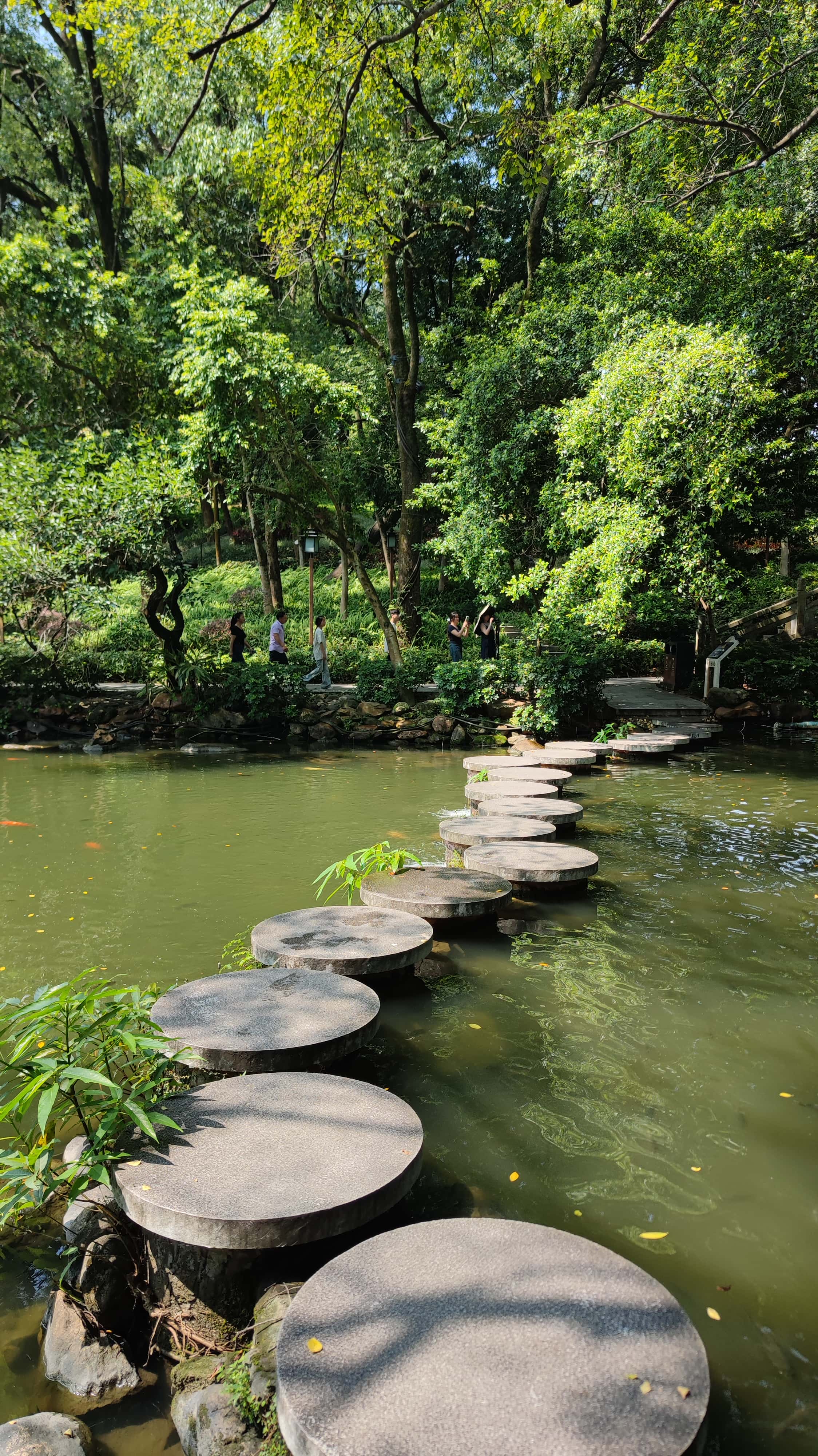 MVIMG_20250705_100936