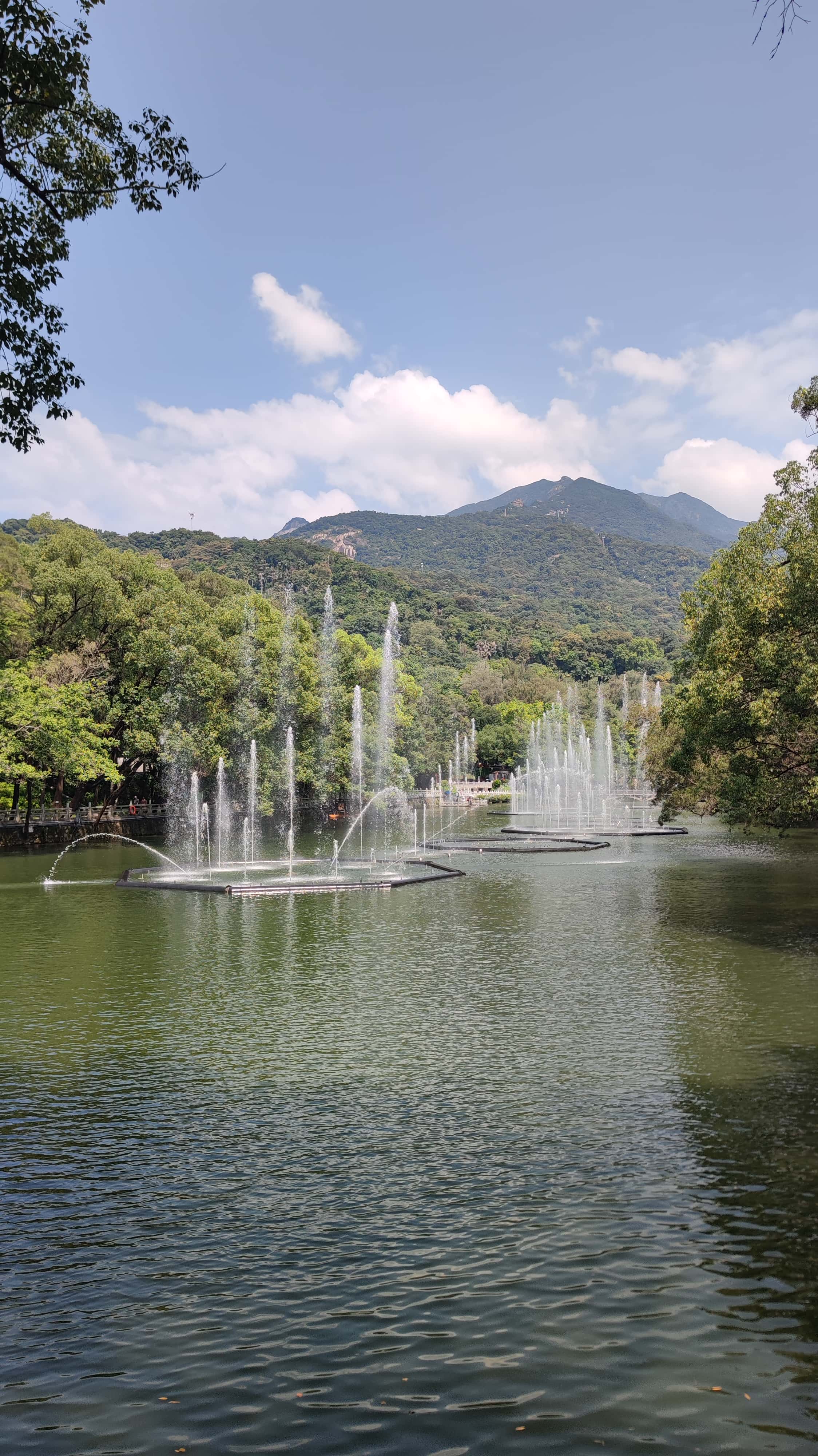 MVIMG_20250705_101055_1