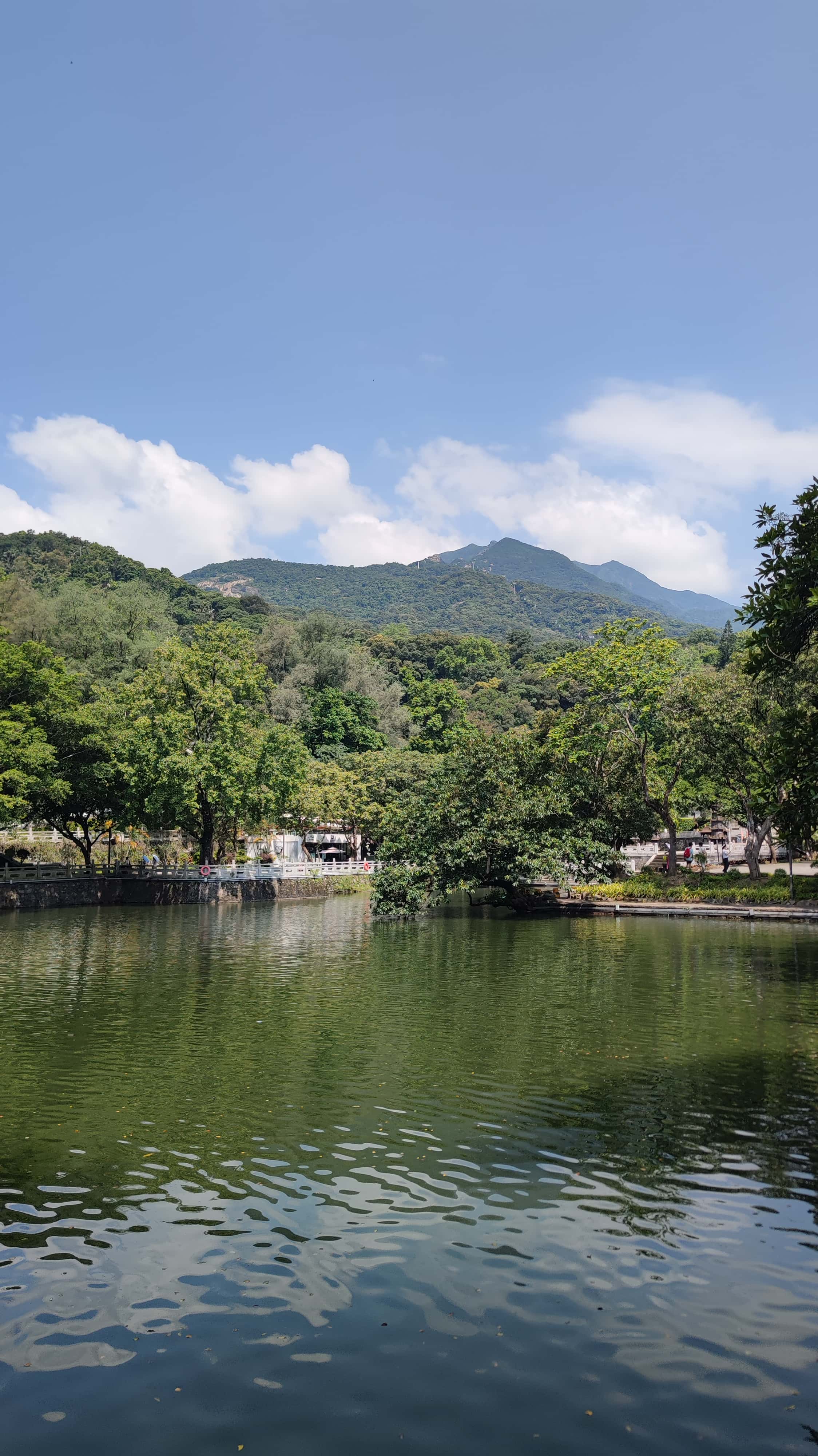 MVIMG_20250705_101536