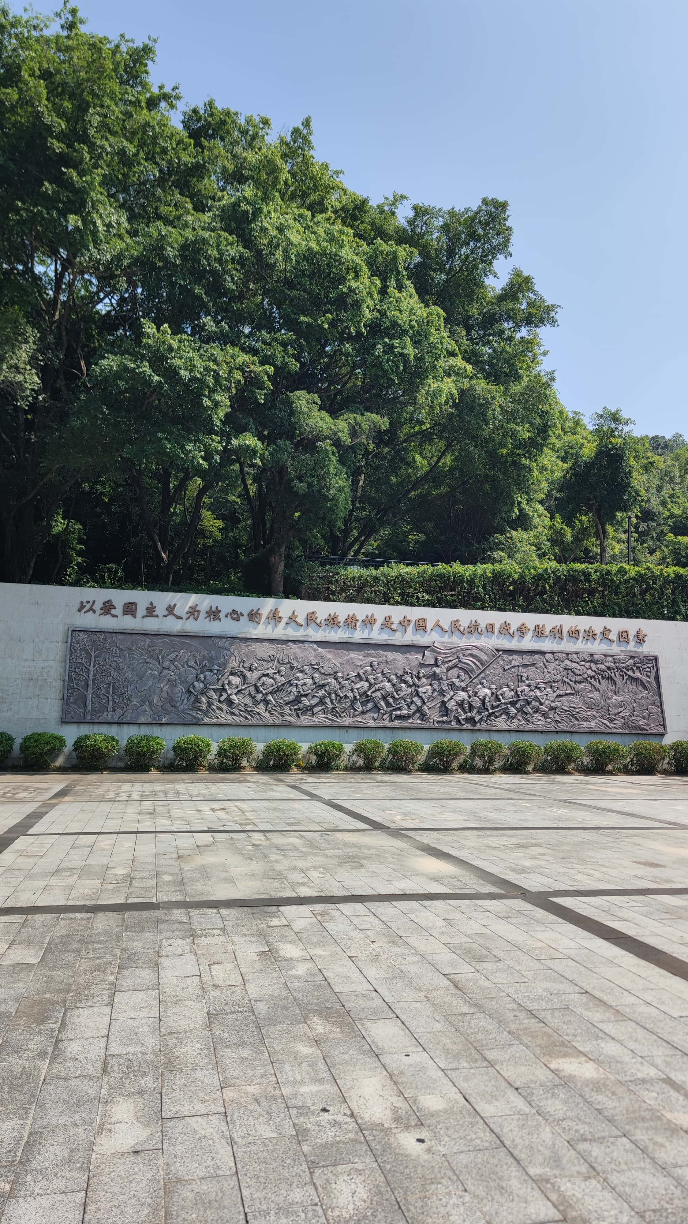 MVIMG_20250705_101822