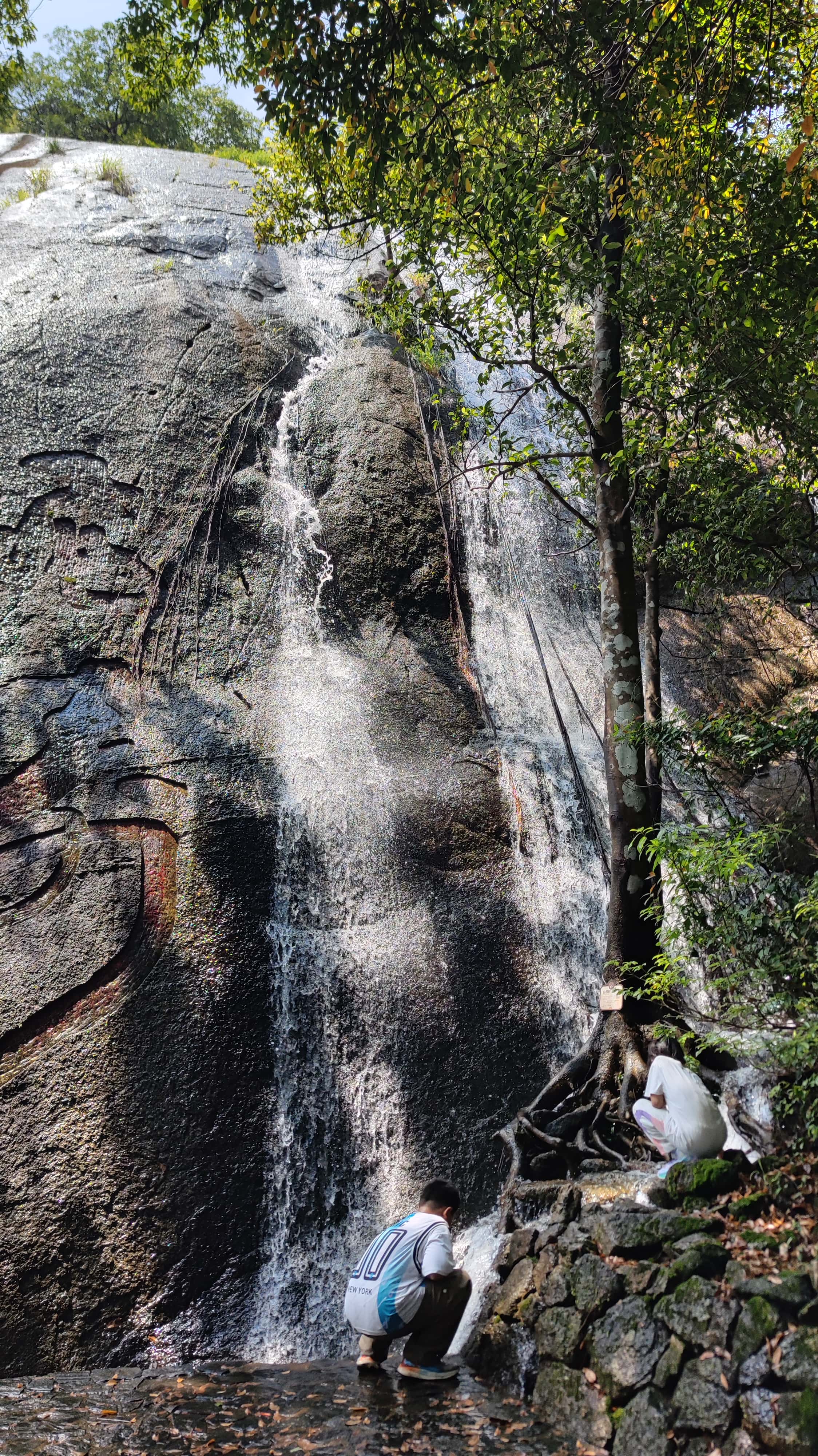 MVIMG_20250705_105939