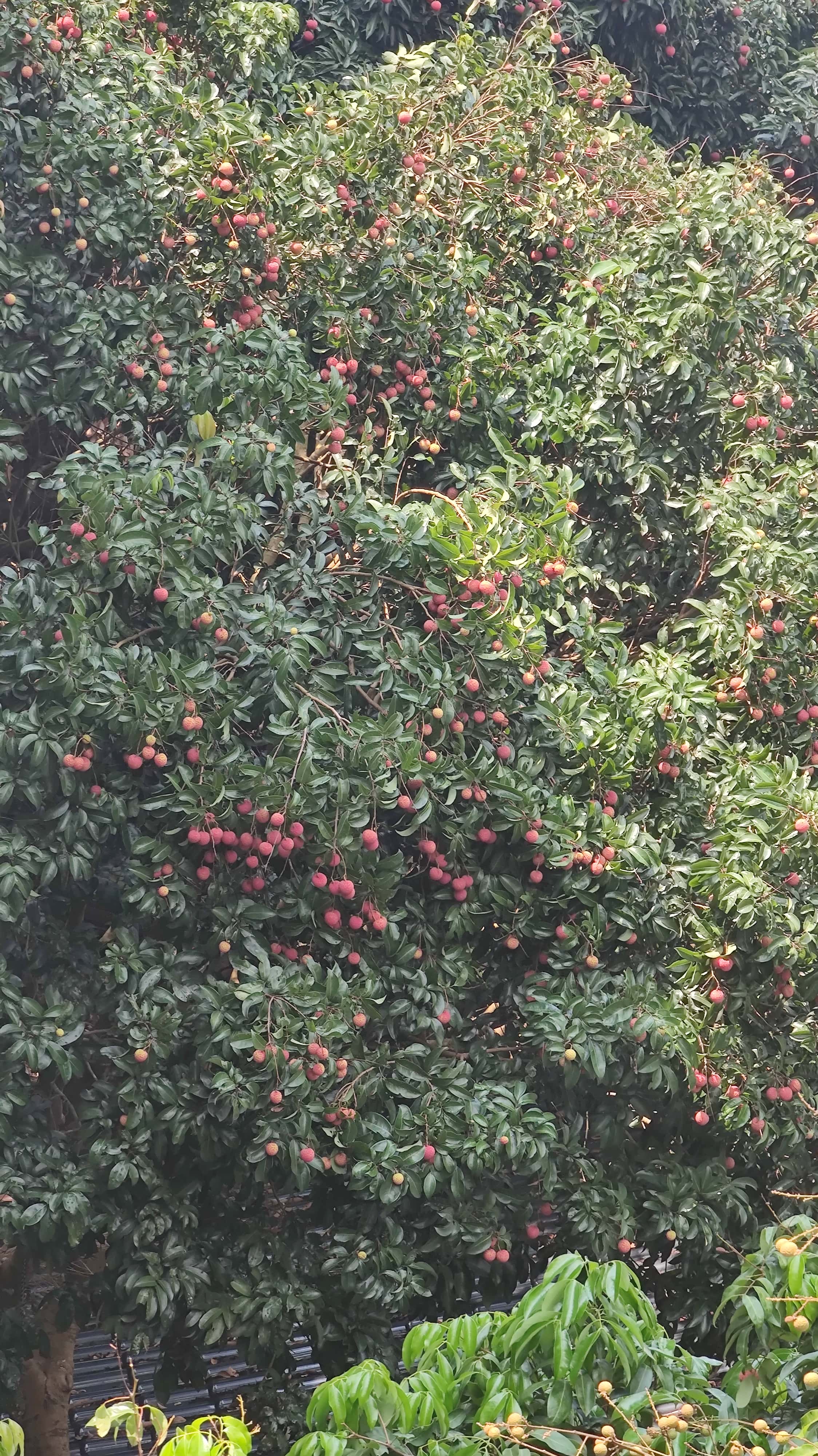 MVIMG_20250705_110345